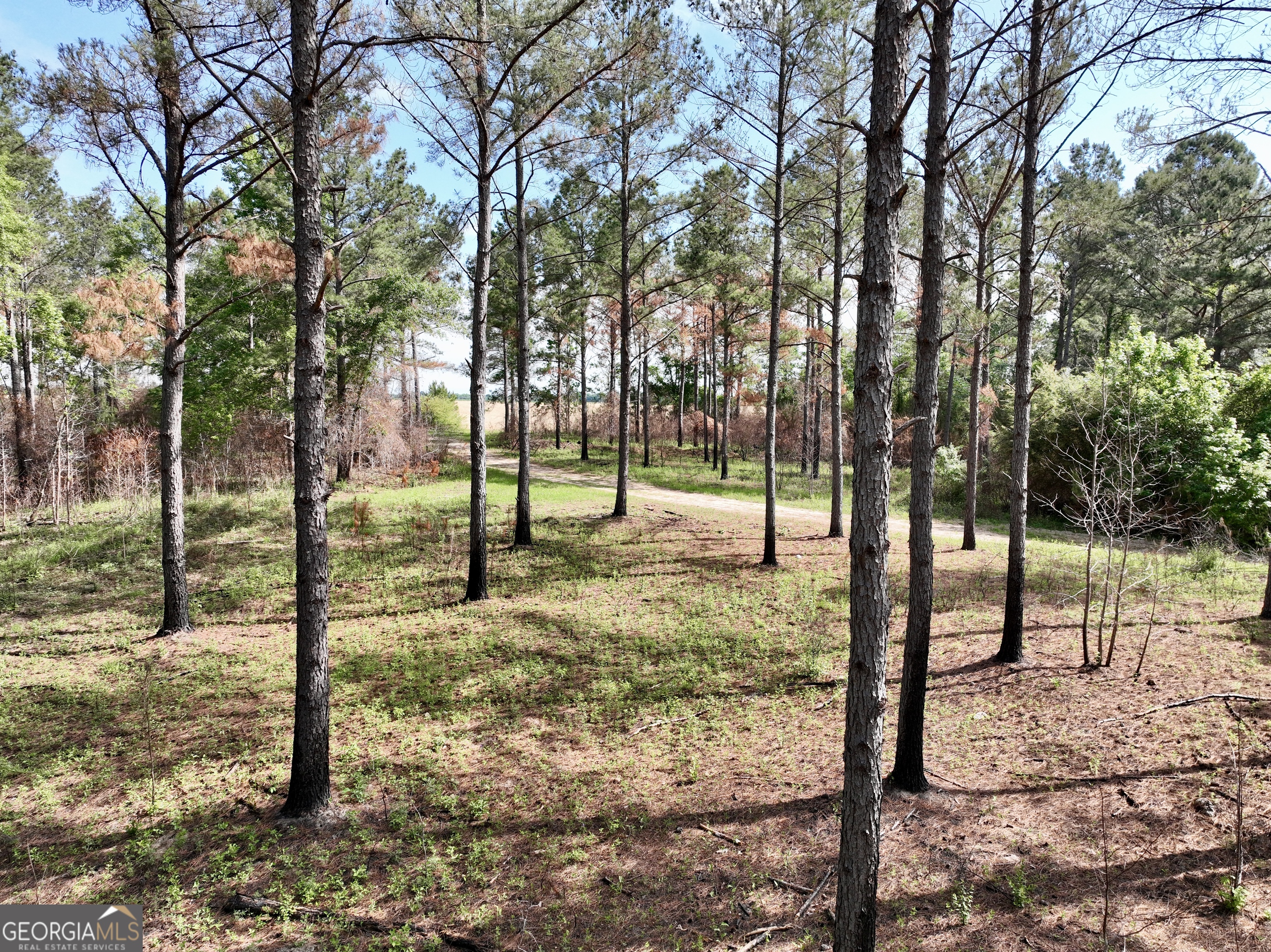 0 Folds Road Pineview GA 31071