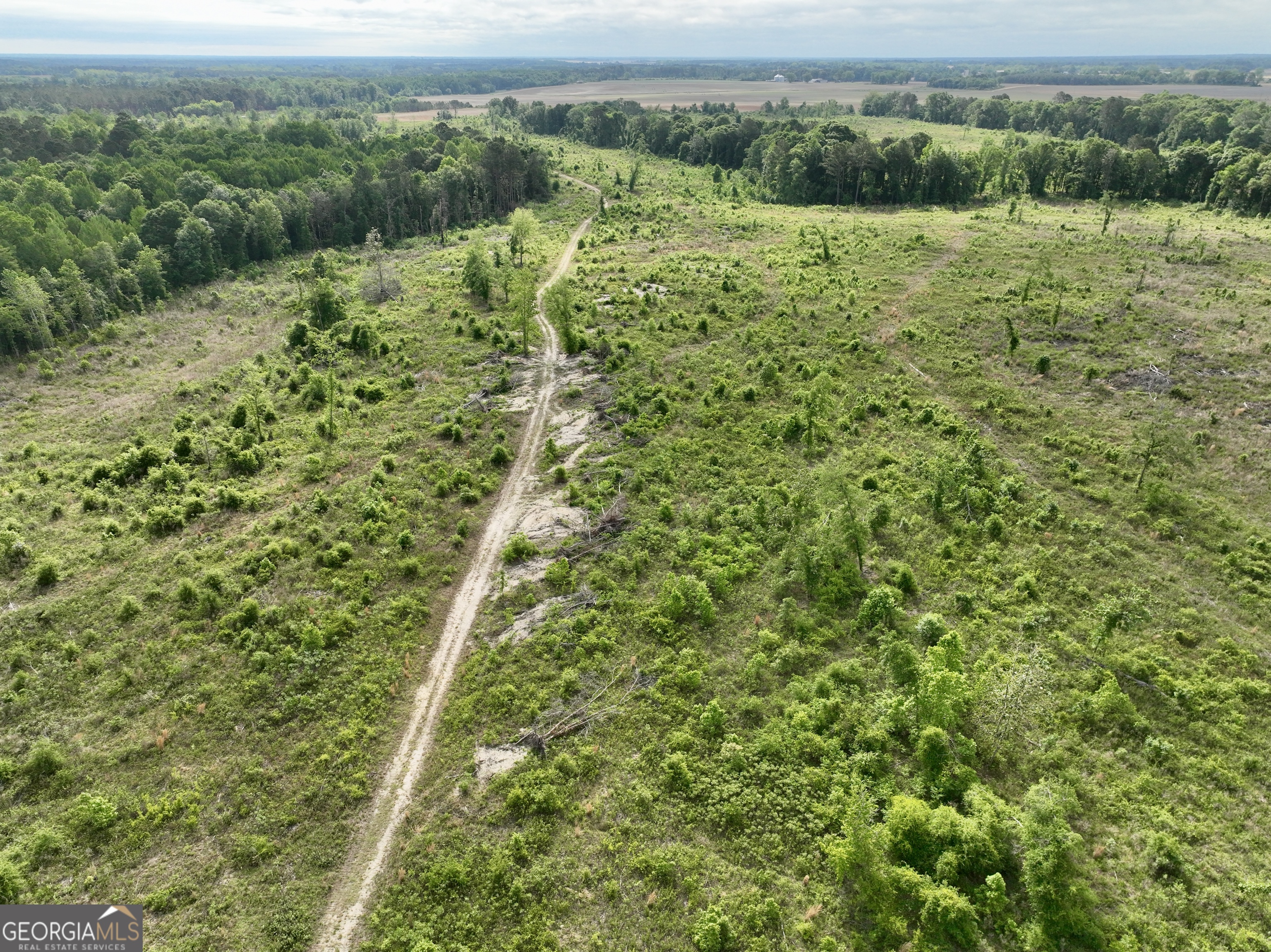 0 Folds Road Pineview GA 31071