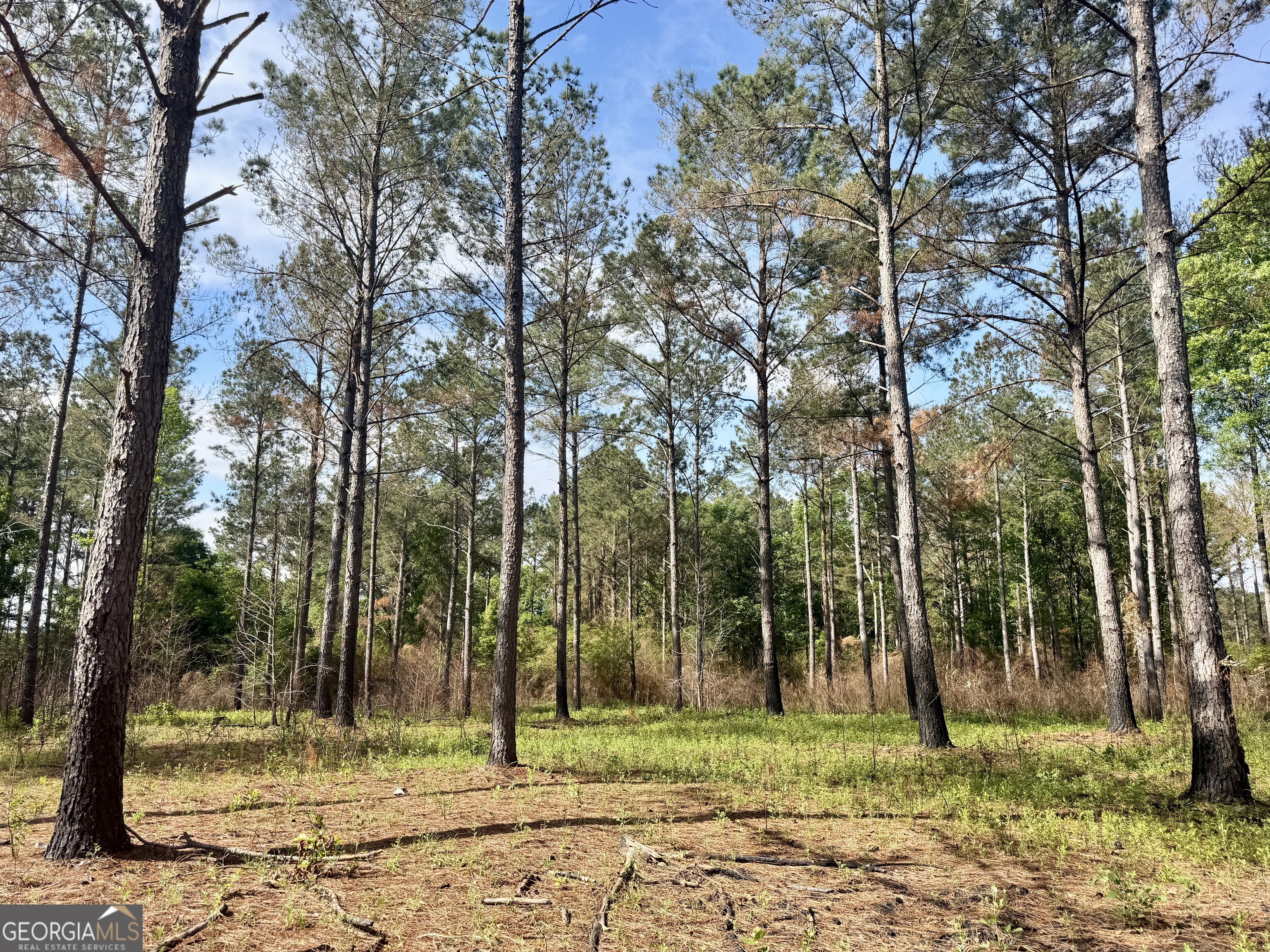 0 Folds Road Pineview GA 31071