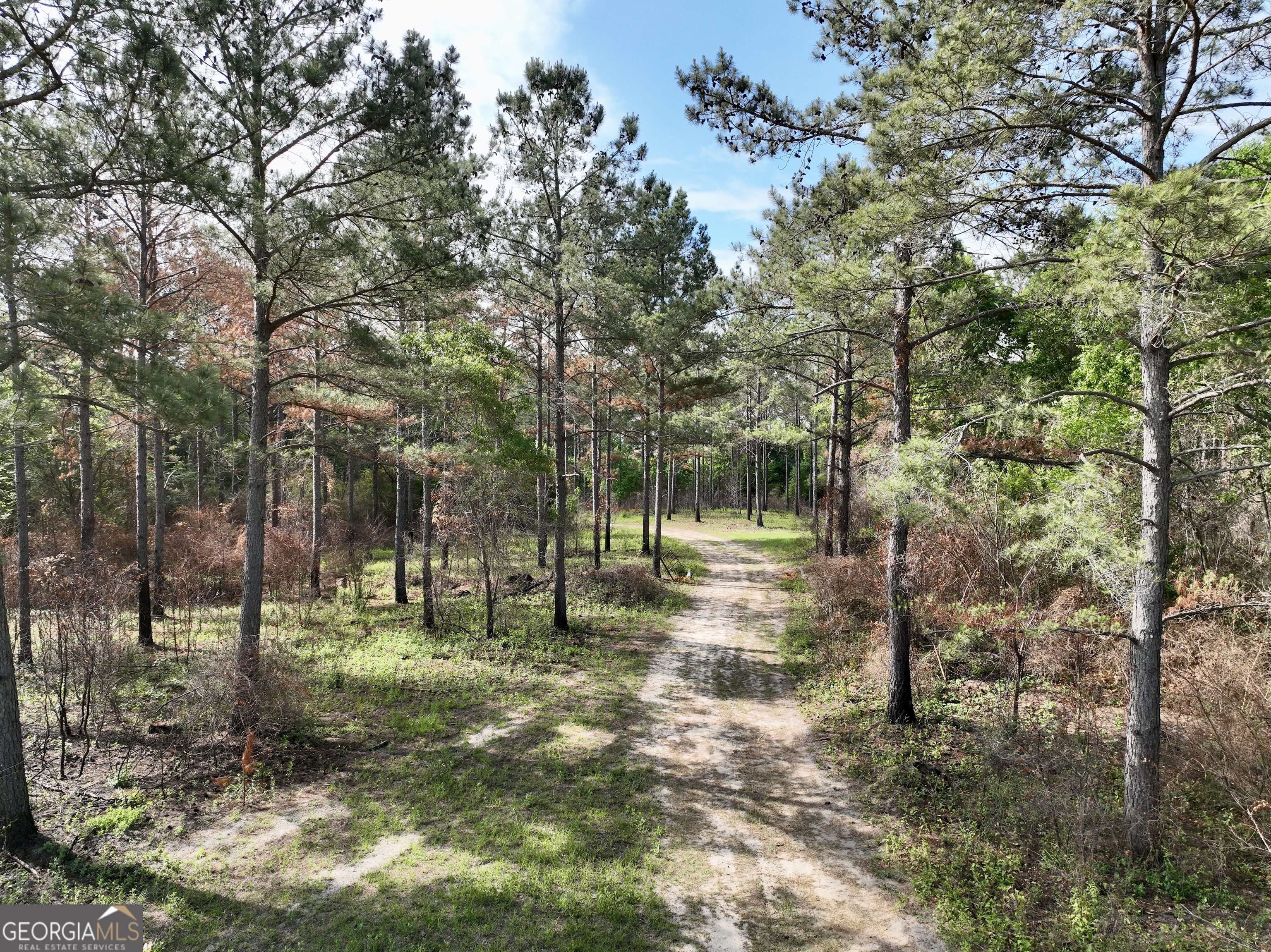 0 Folds Road Pineview GA 31071