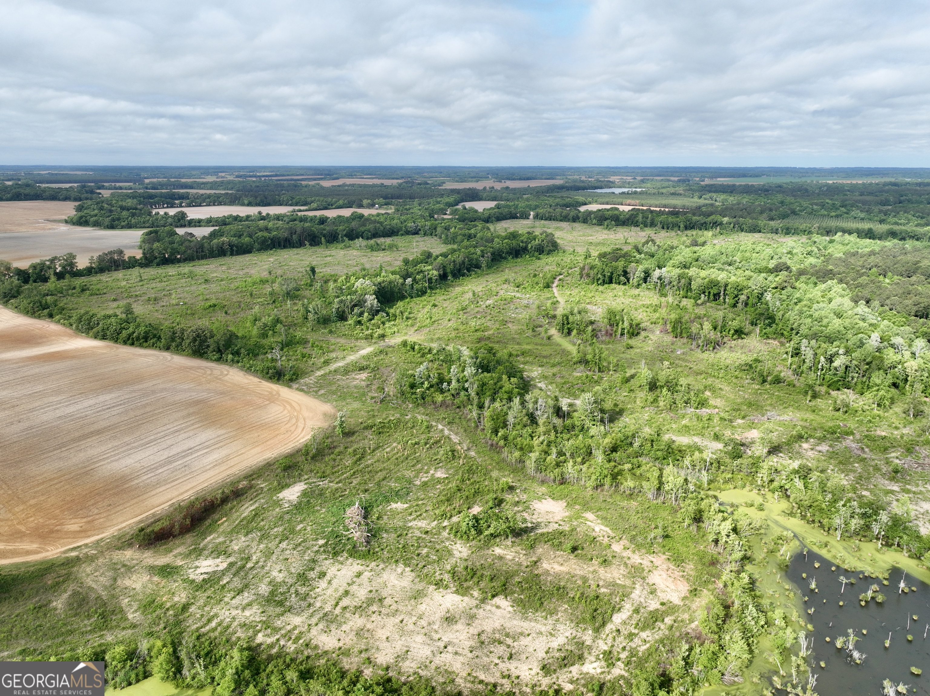 0 Folds Road Pineview GA 31071