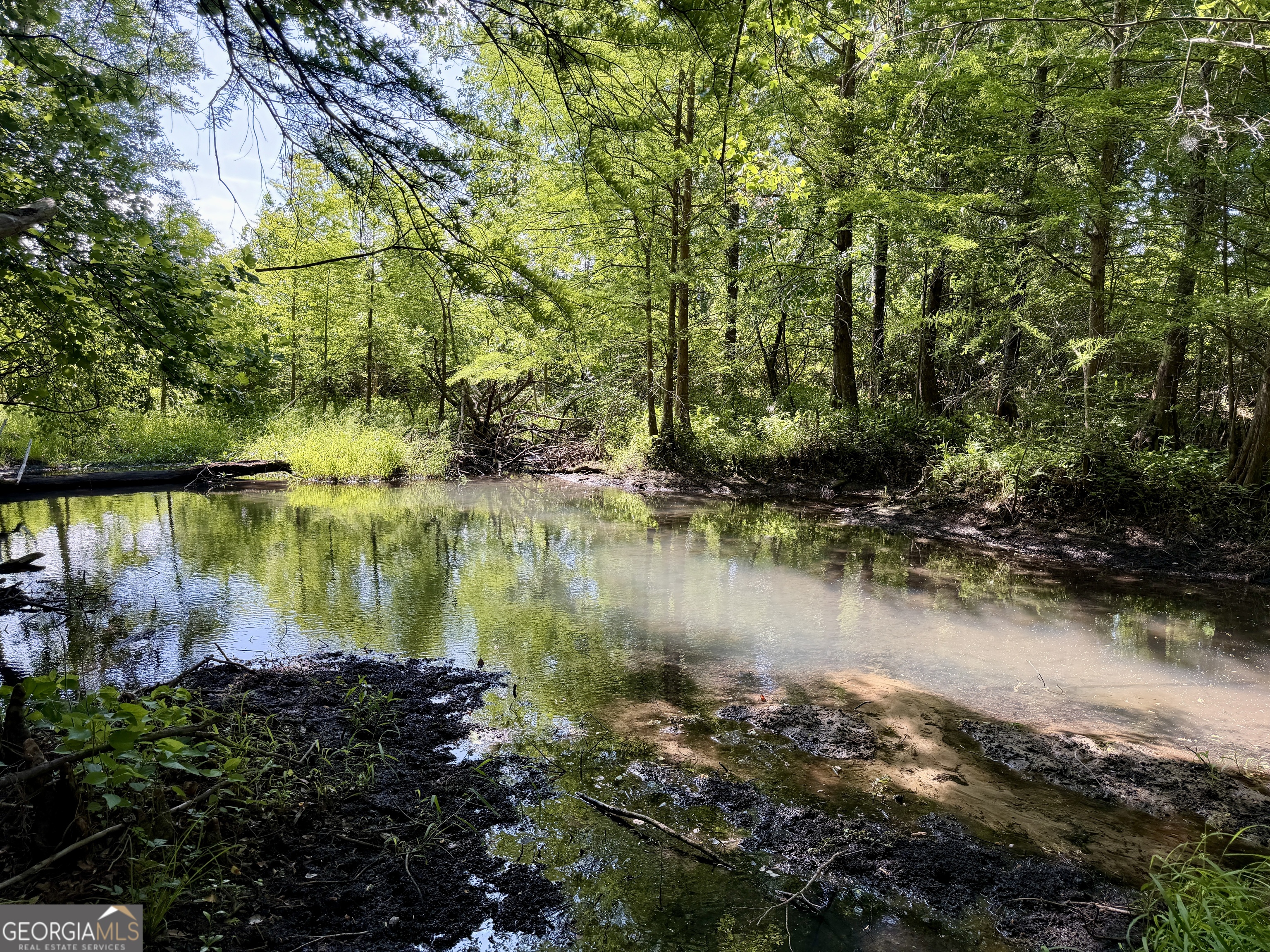 0 Folds Road Pineview GA 31071