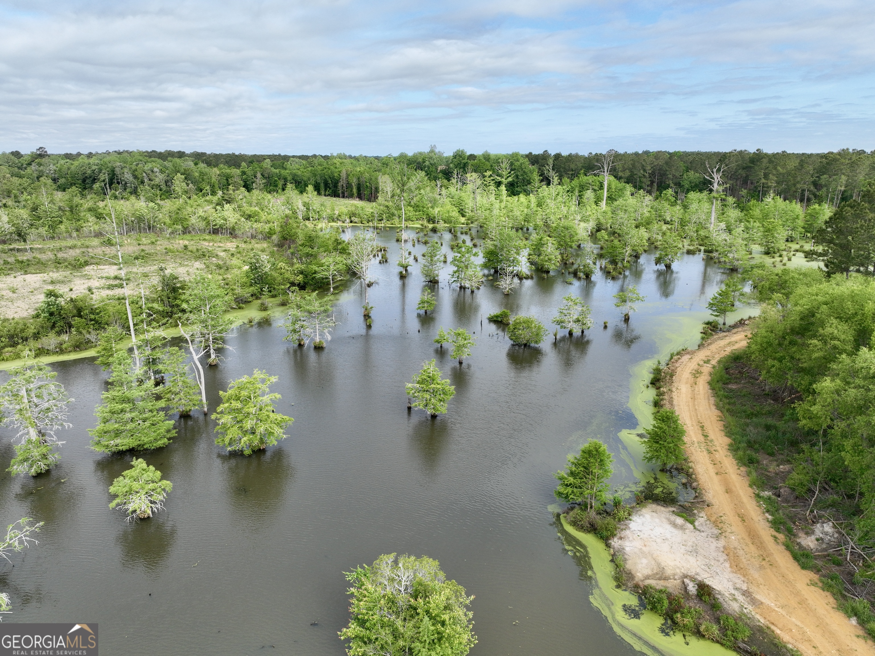 0 Folds Road Pineview GA 31071