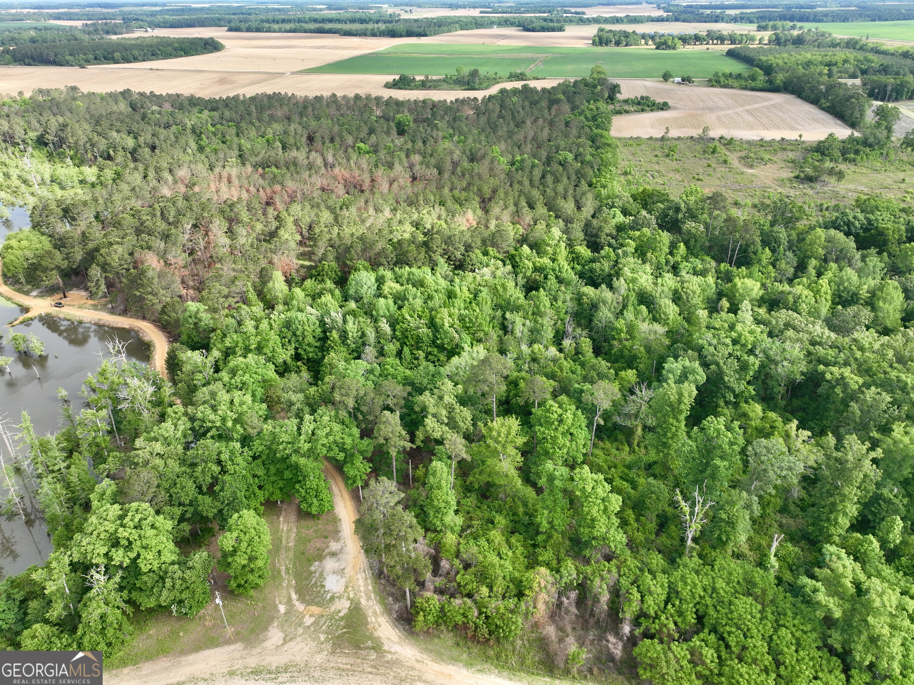 0 Folds Road Pineview GA 31071