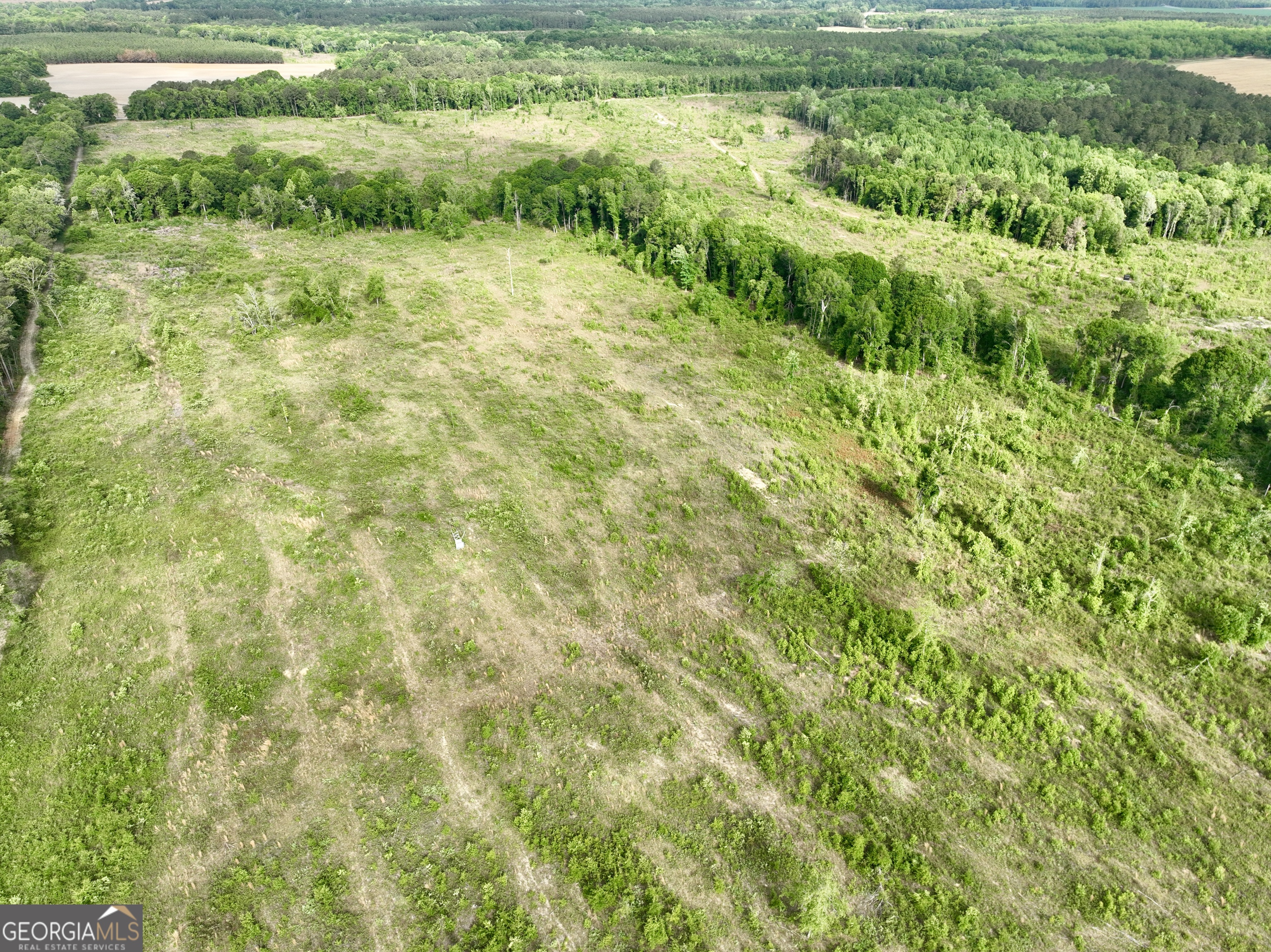 0 Folds Road Pineview GA 31071