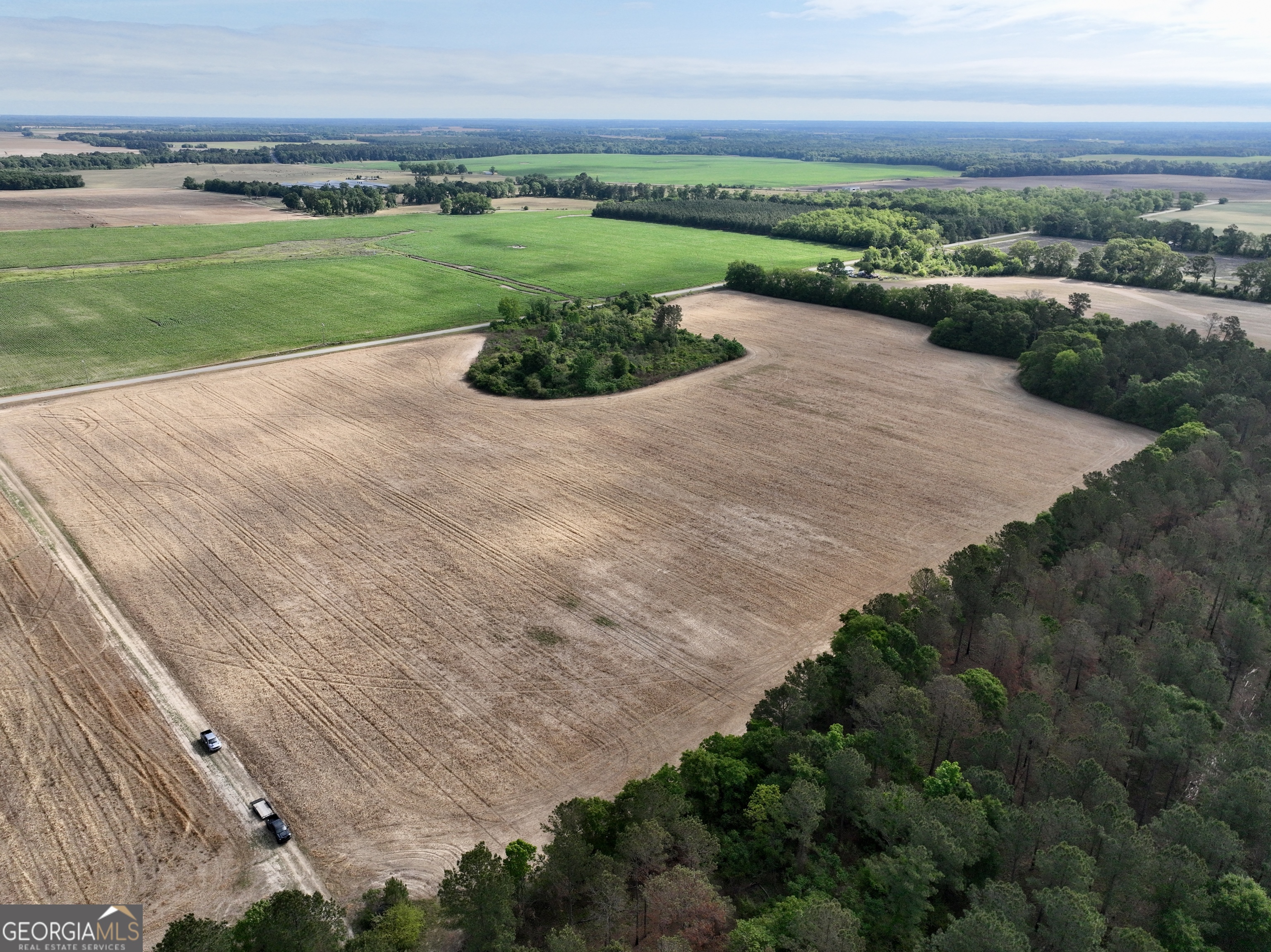 0 Folds Road Pineview GA 31071