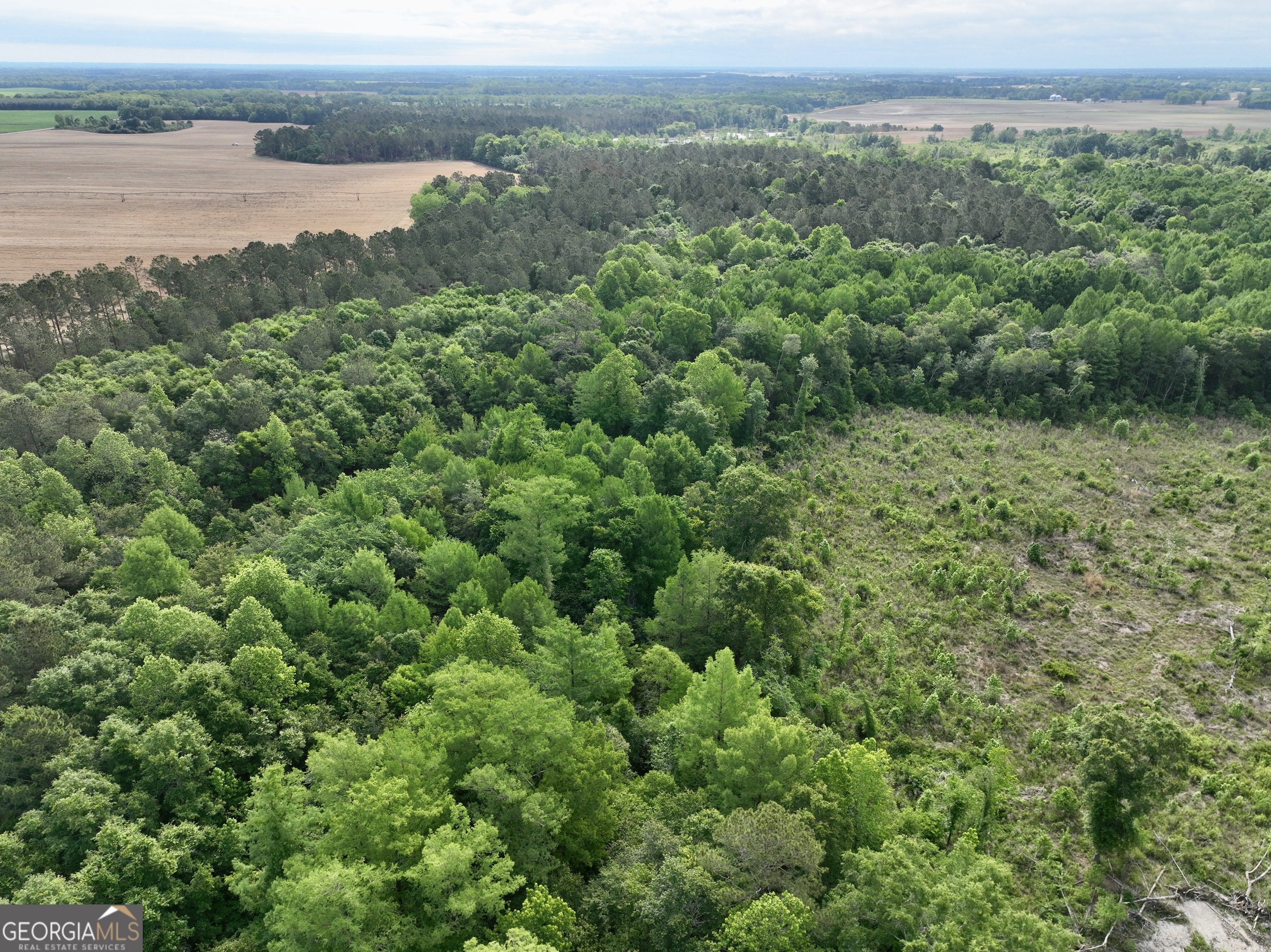 0 Folds Road Pineview GA 31071