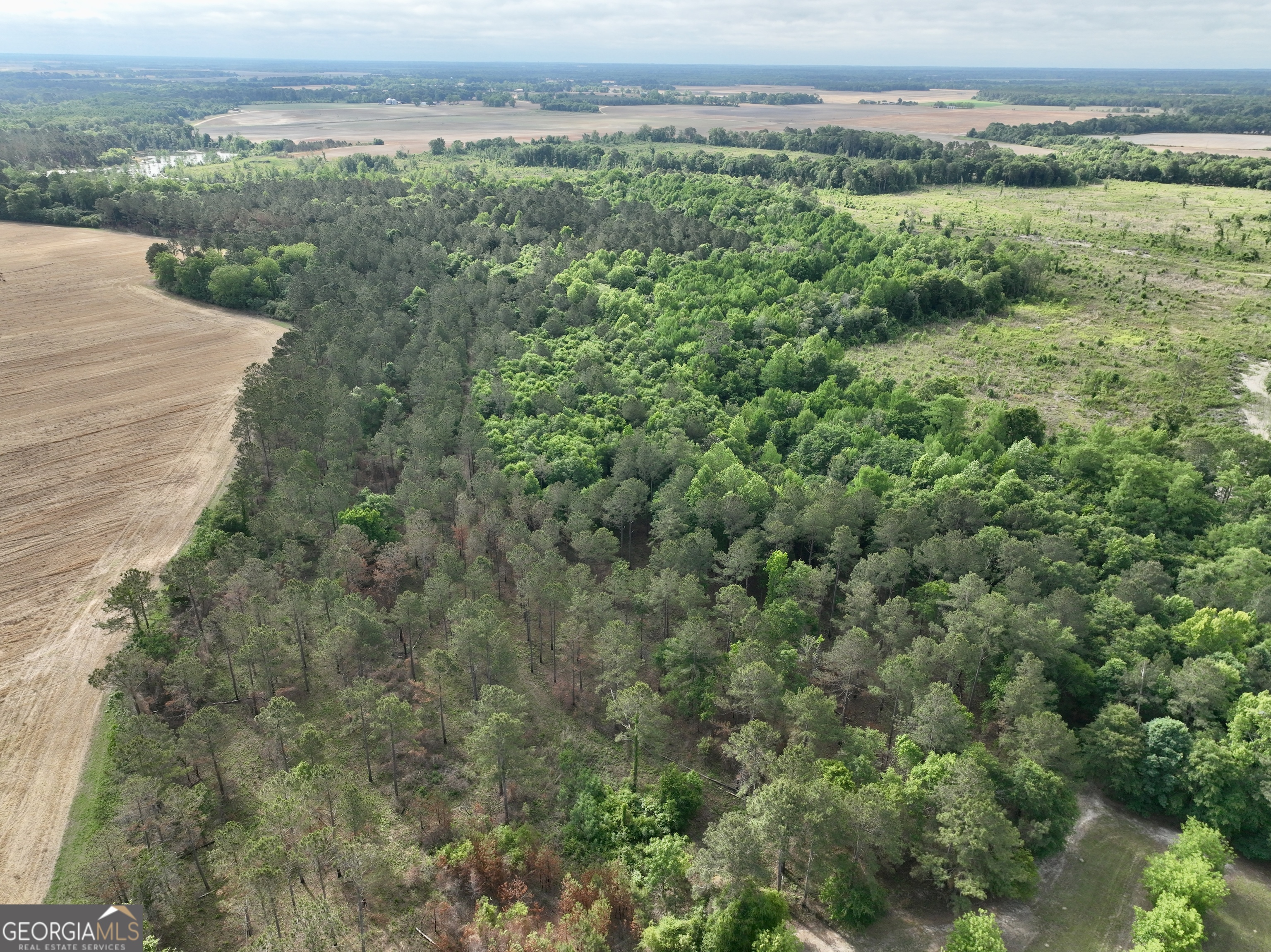 0 Folds Road Pineview GA 31071