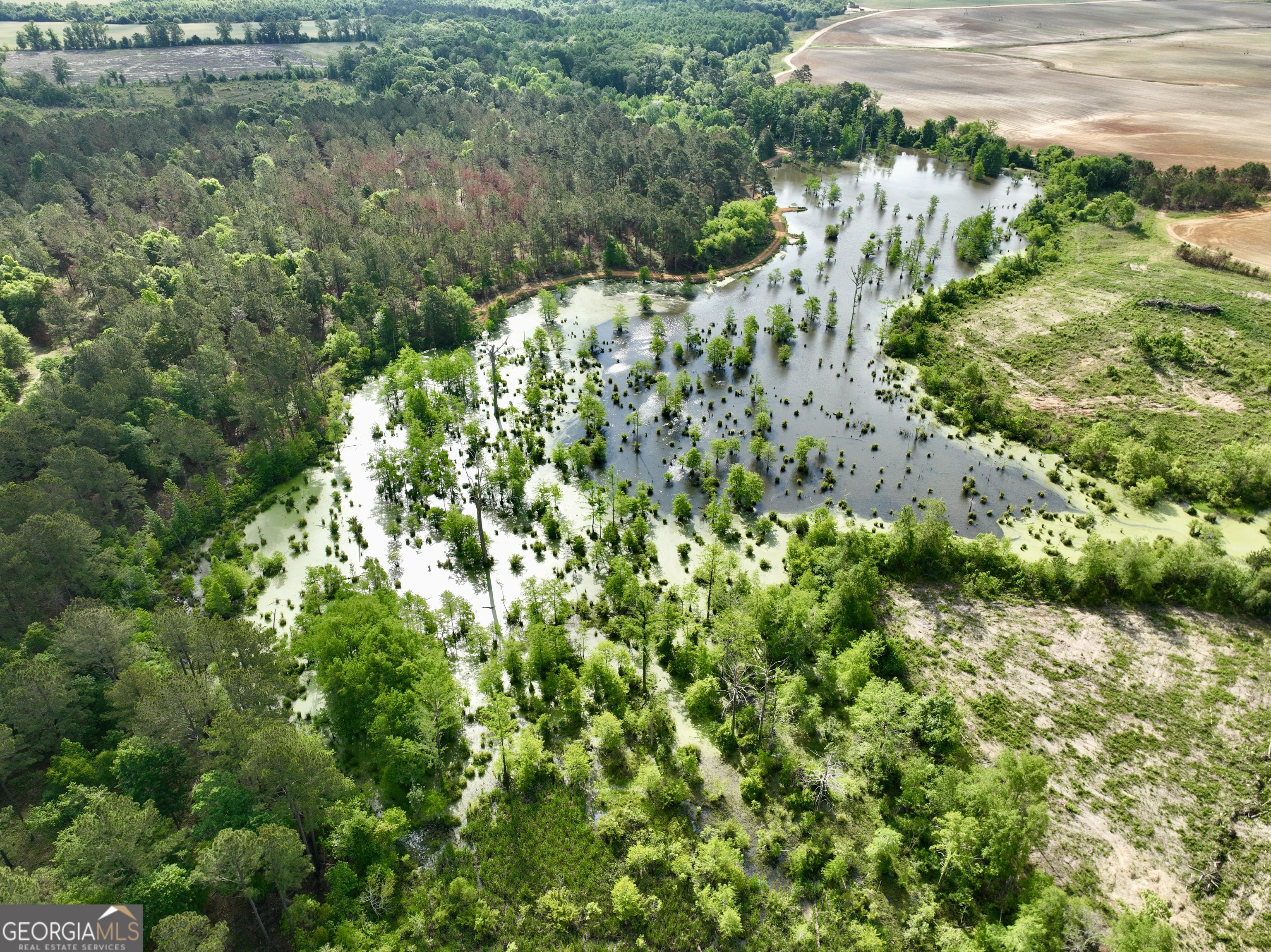 0 Folds Road Pineview GA 31071