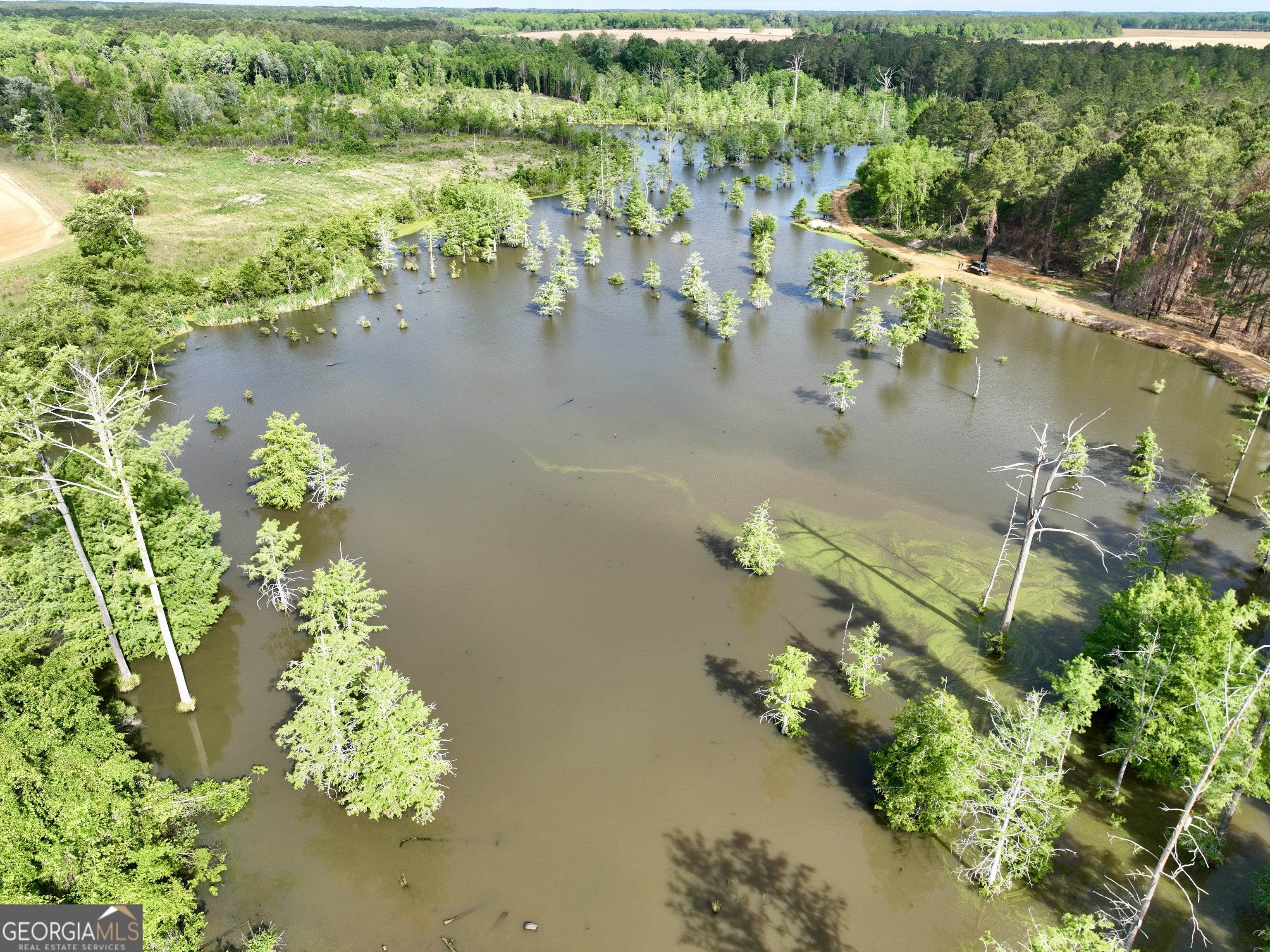 0 Folds Road Pineview GA 31071
