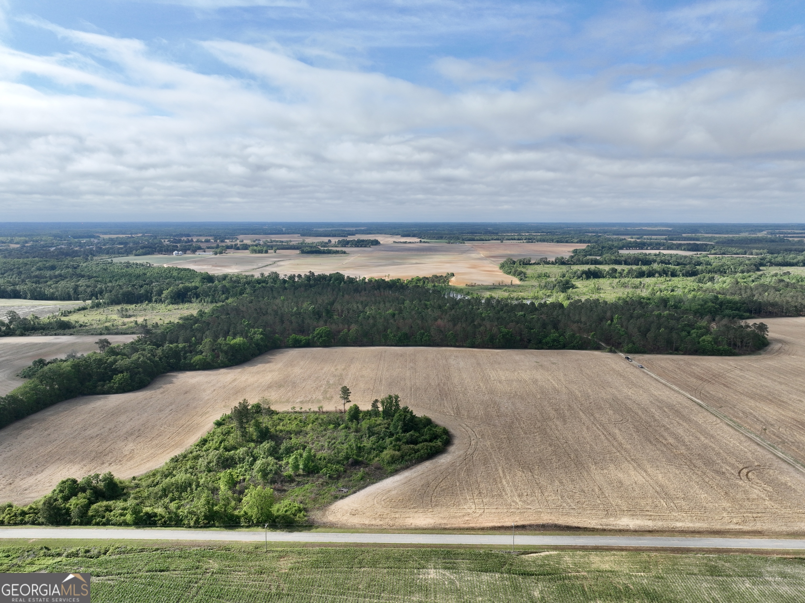 0 Folds Road Pineview GA 31071