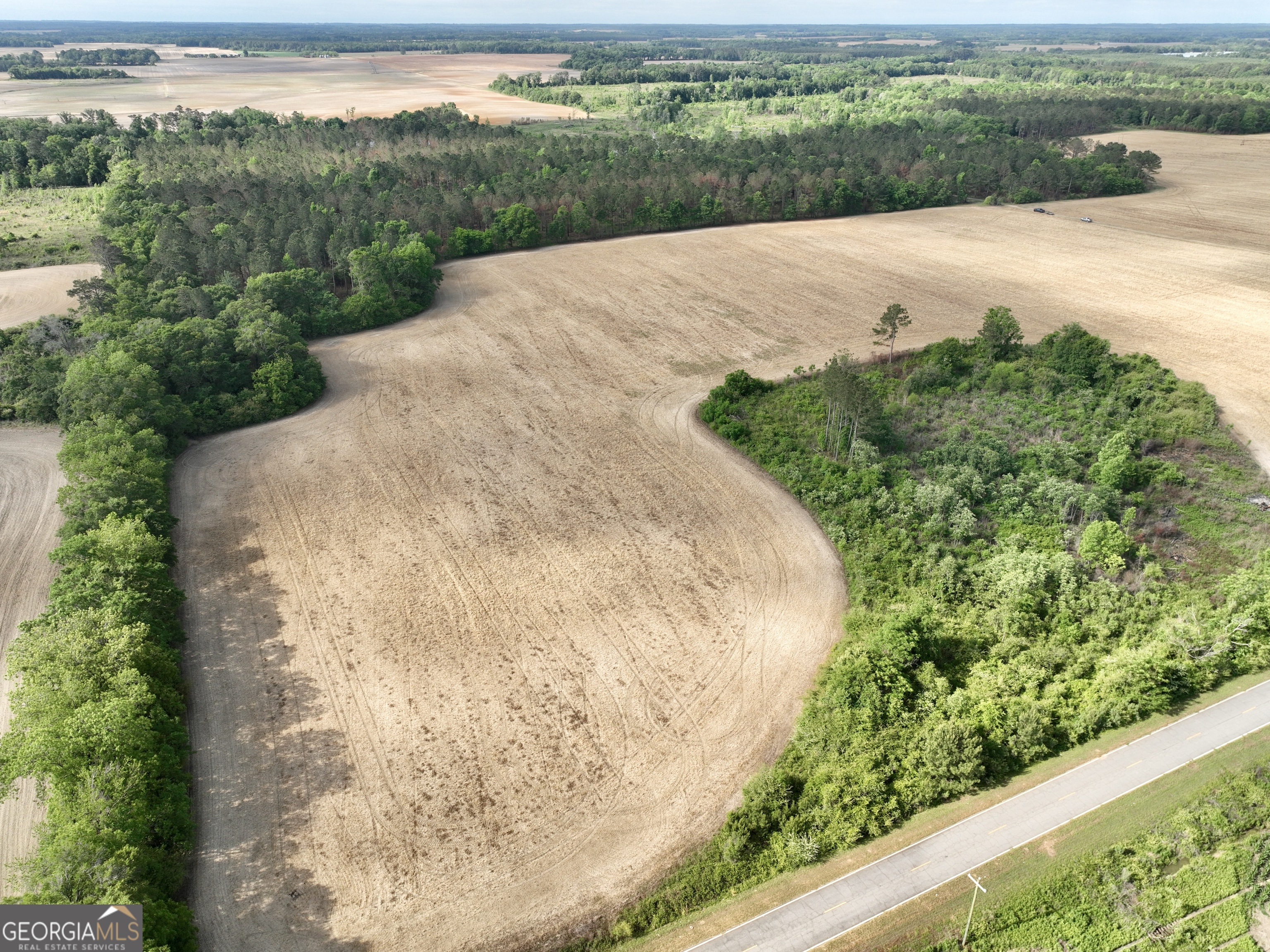 0 Folds Road Pineview GA 31071
