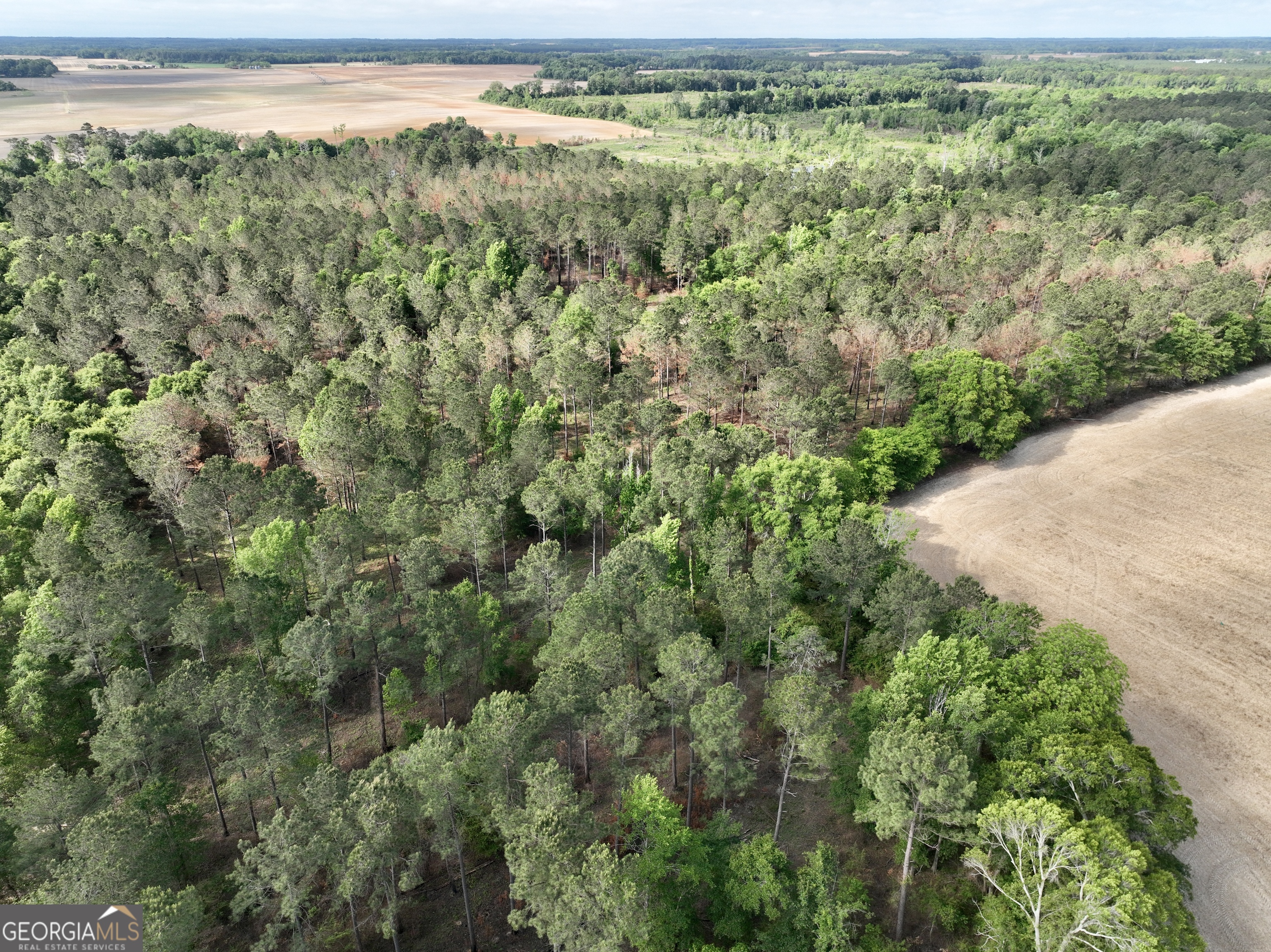0 Folds Road Pineview GA 31071