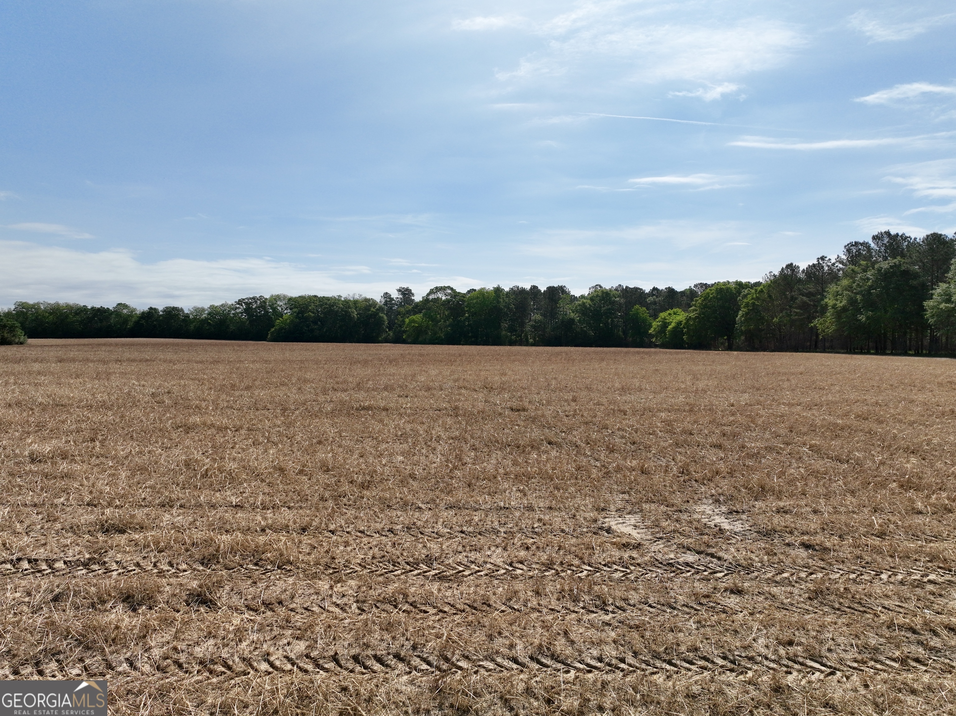 0 Folds Road Pineview GA 31071