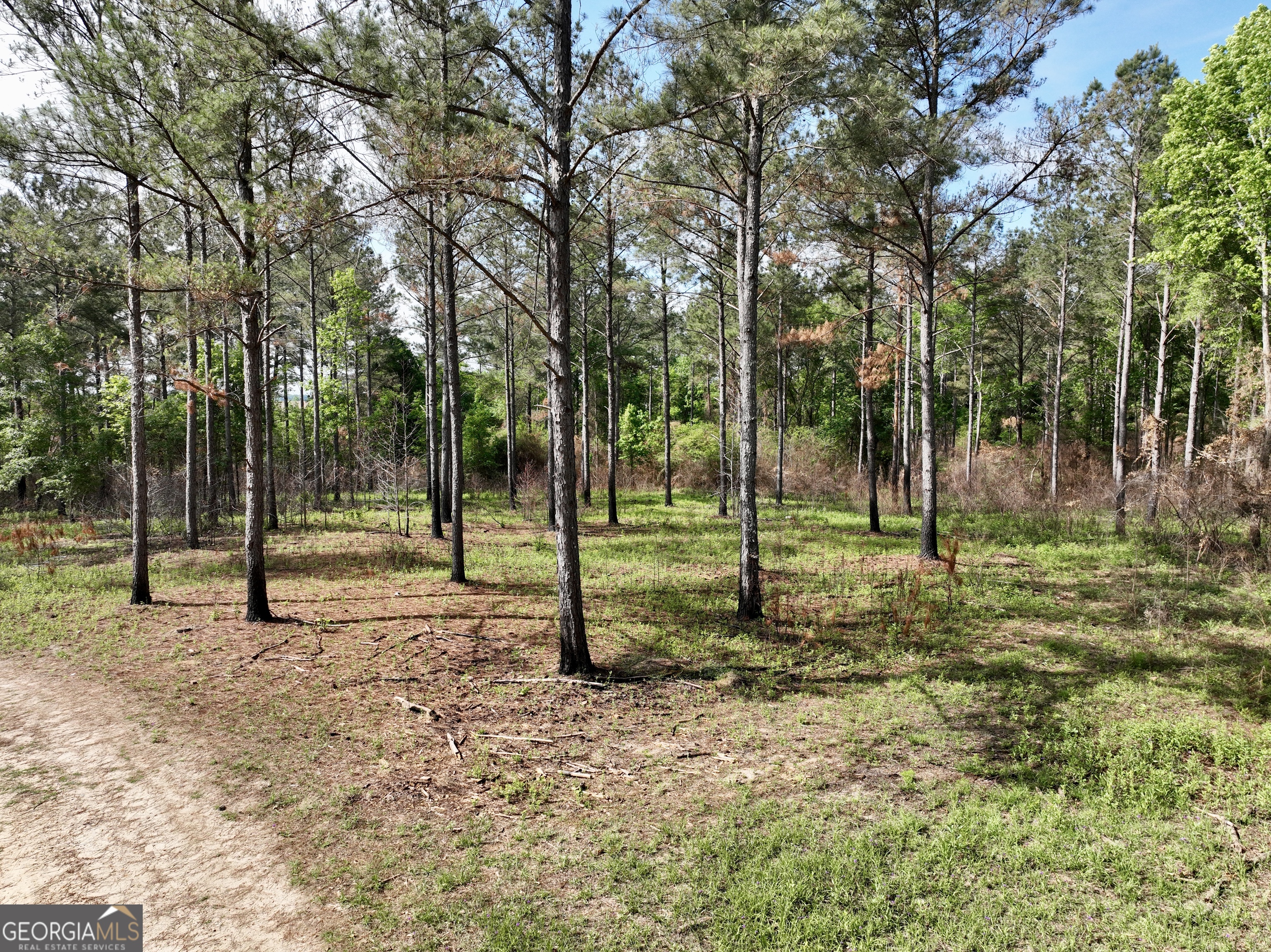 0 Folds Road Pineview GA 31071