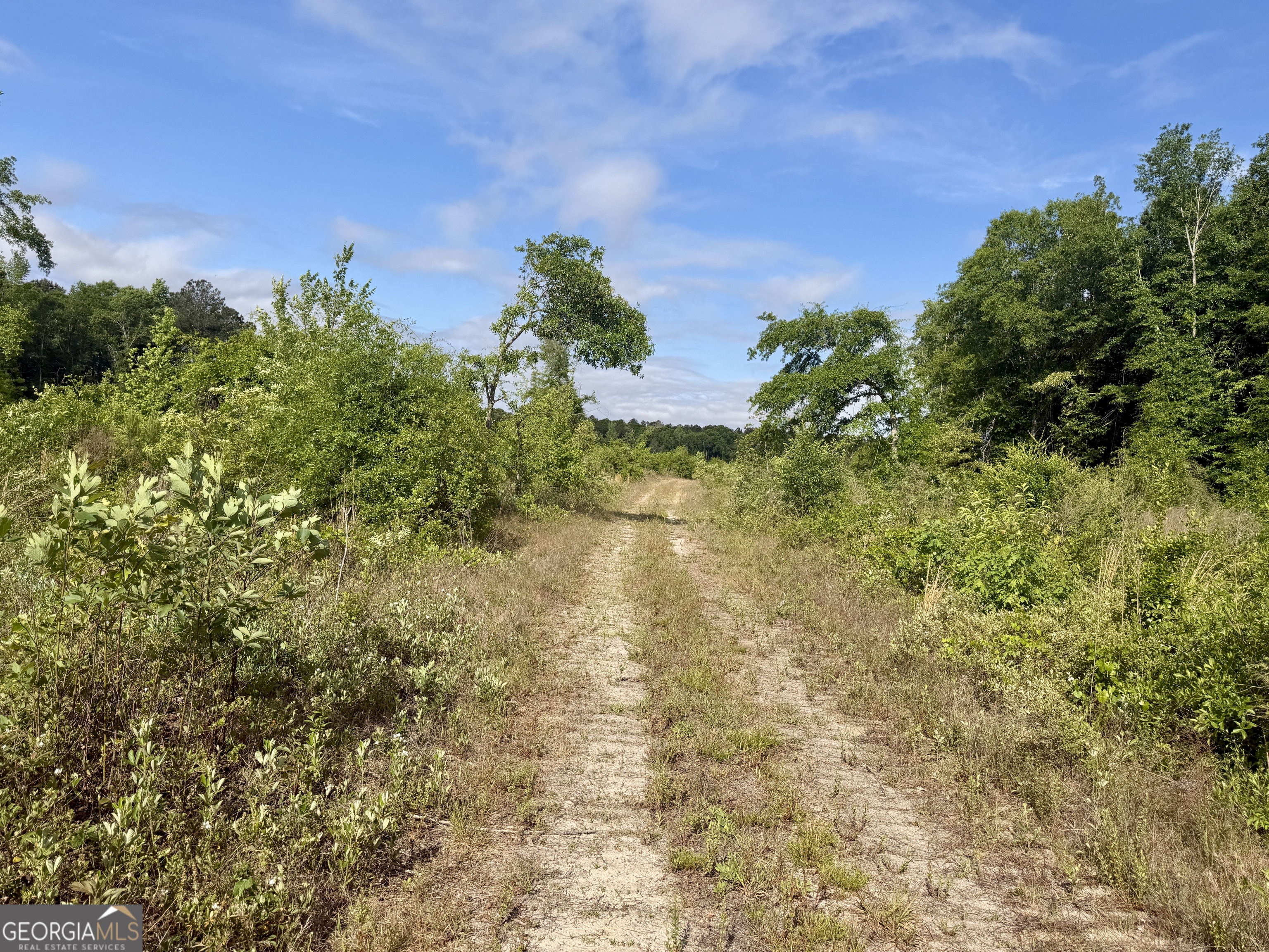 0 Folds Road Pineview GA 31071