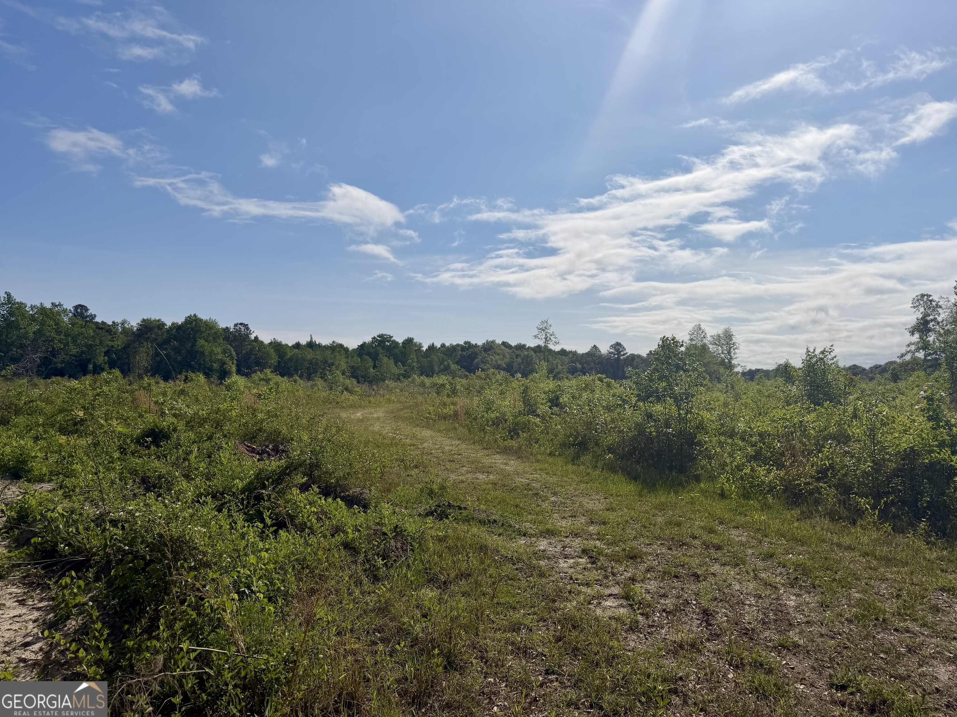 0 Folds Road Pineview GA 31071