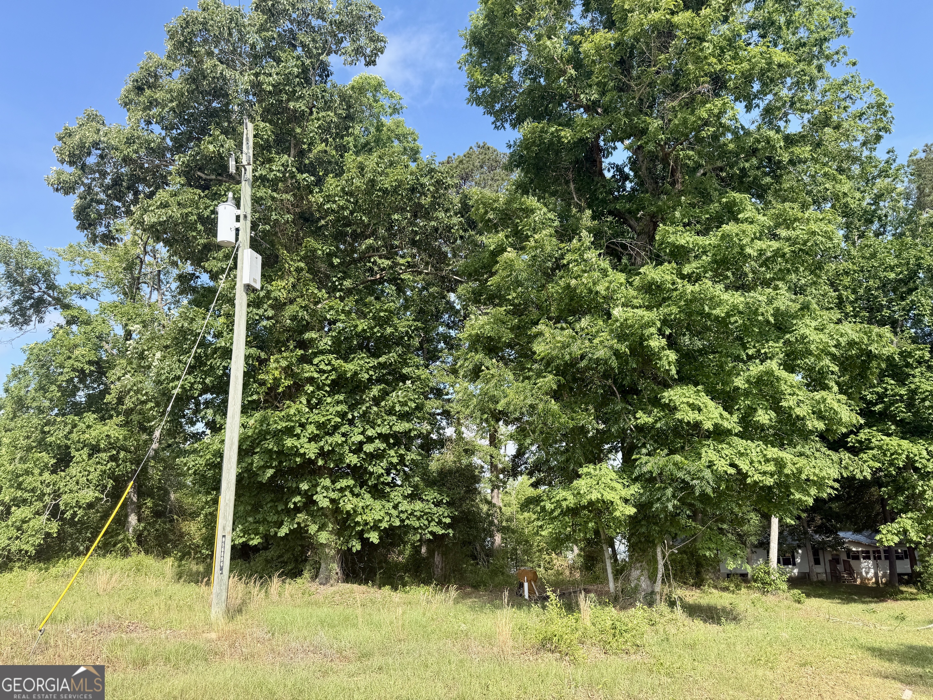 0 Folds Road Pineview GA 31071