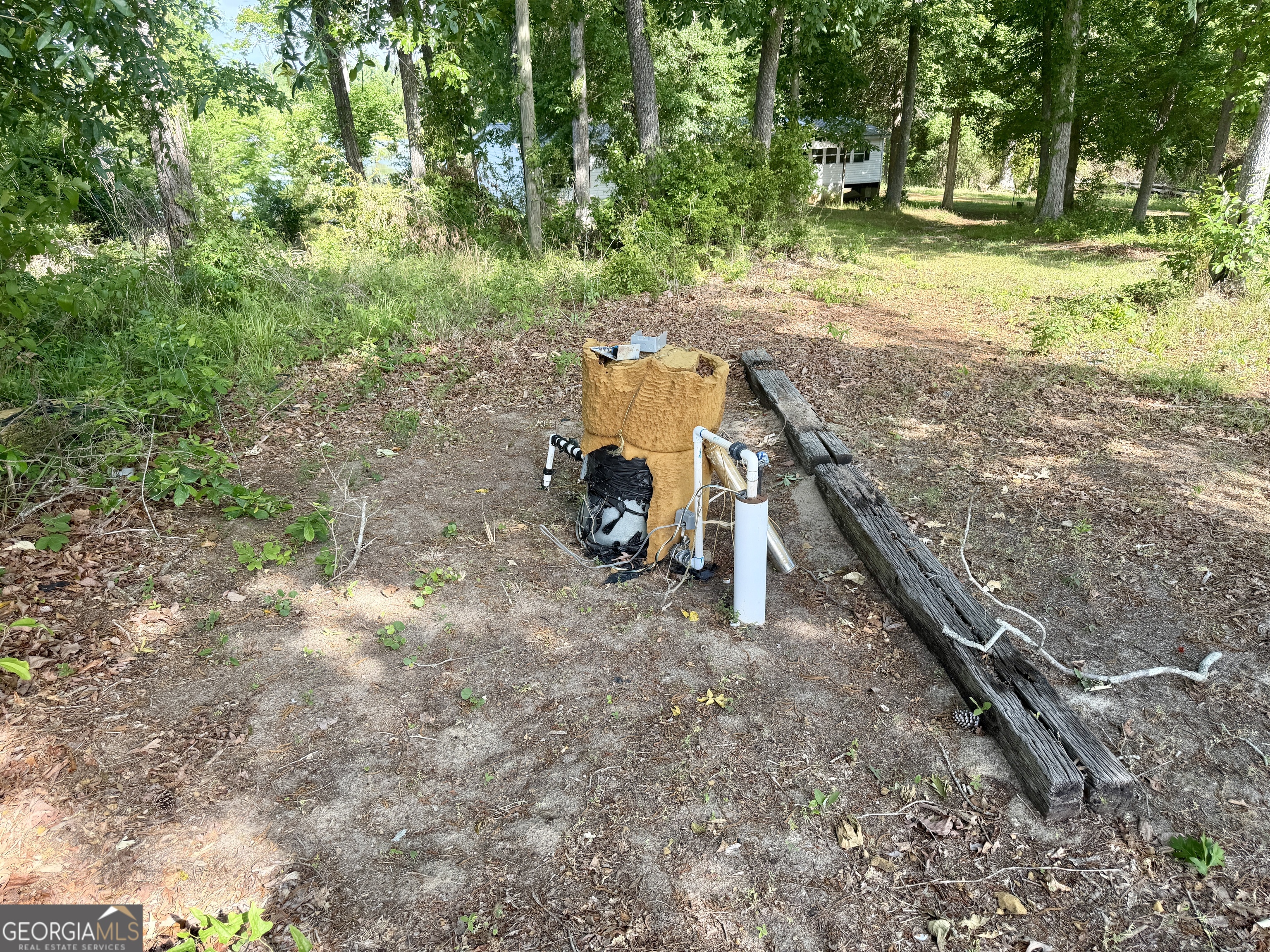 0 Folds Road Pineview GA 31071