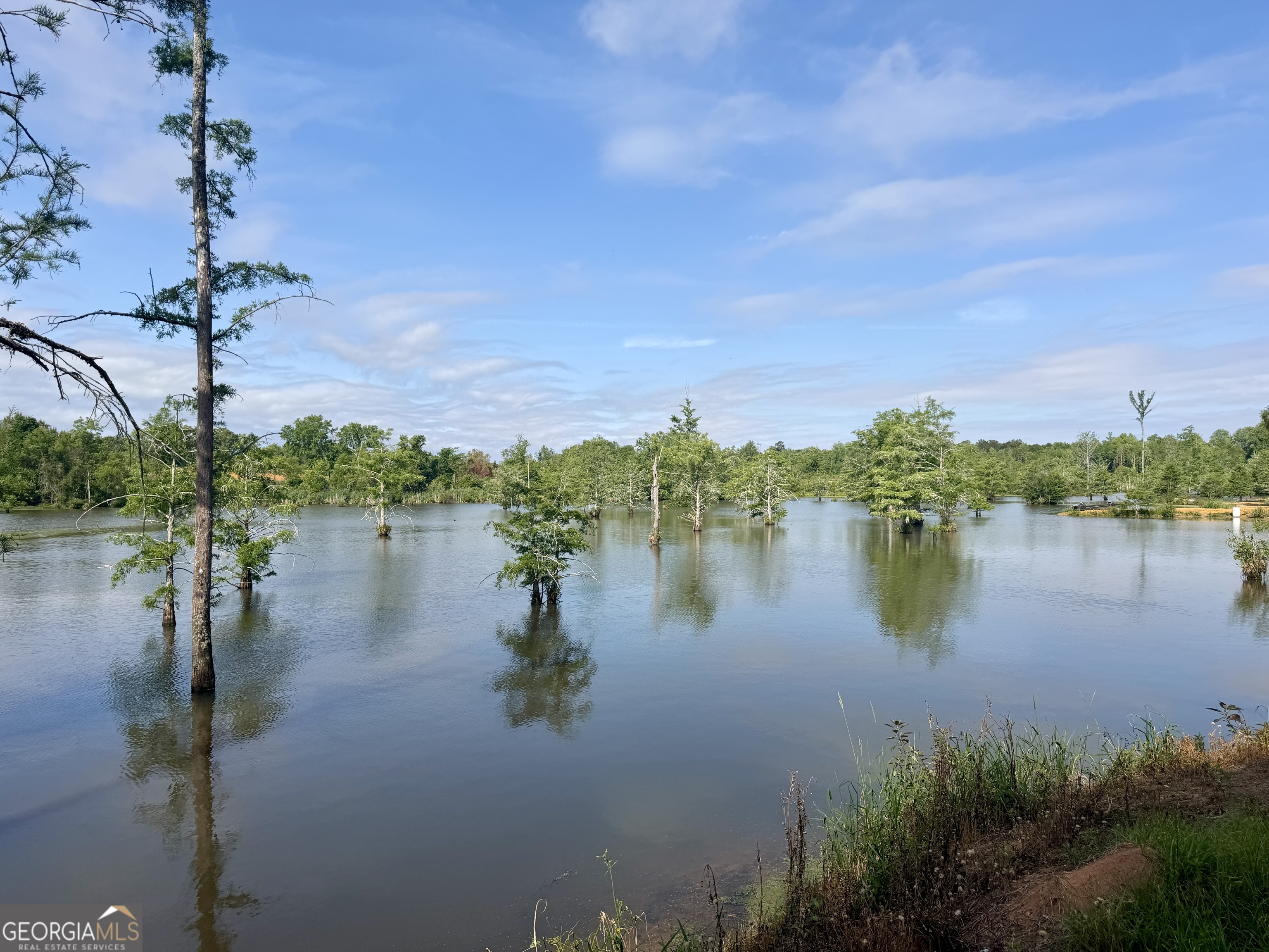 0 Folds Road Pineview GA 31071