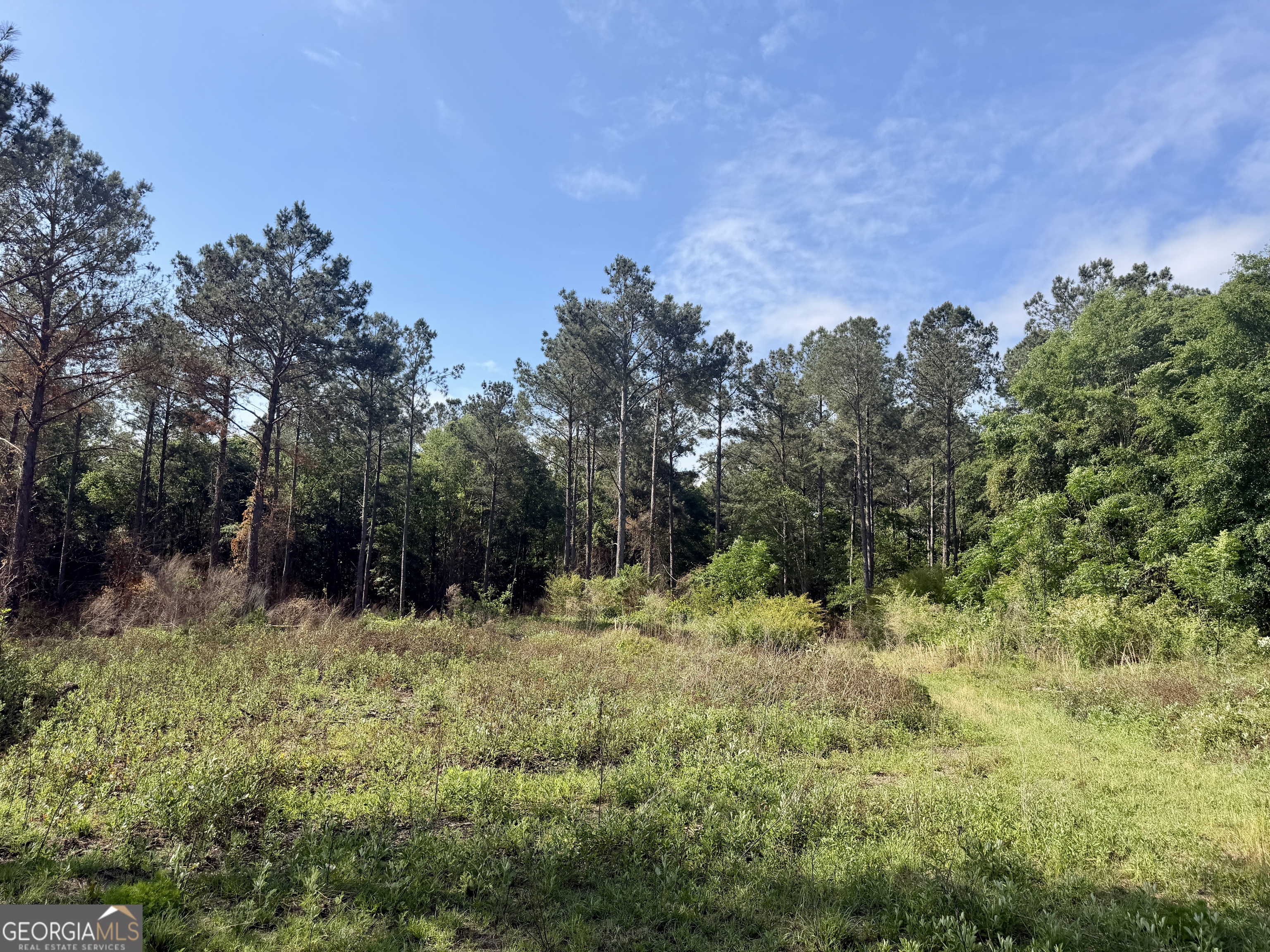0 Folds Road Pineview GA 31071