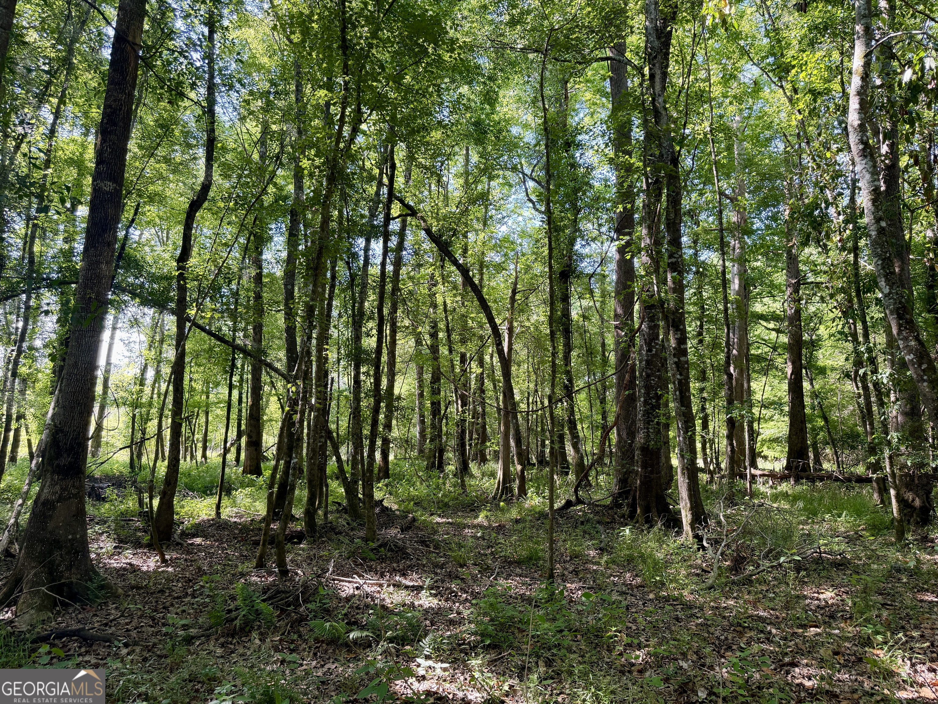 0 Folds Road Pineview GA 31071