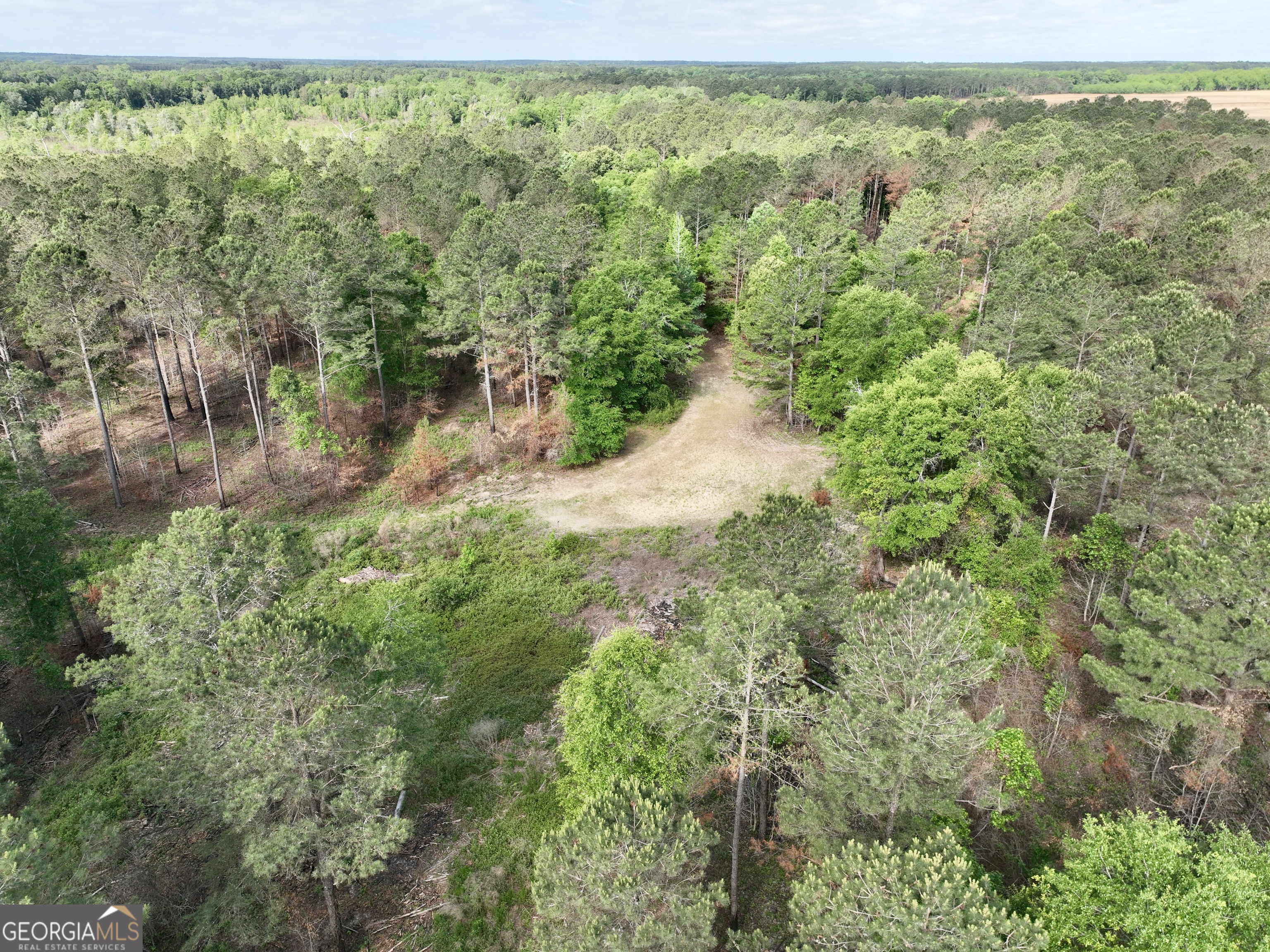 0 Folds Road Pineview GA 31071