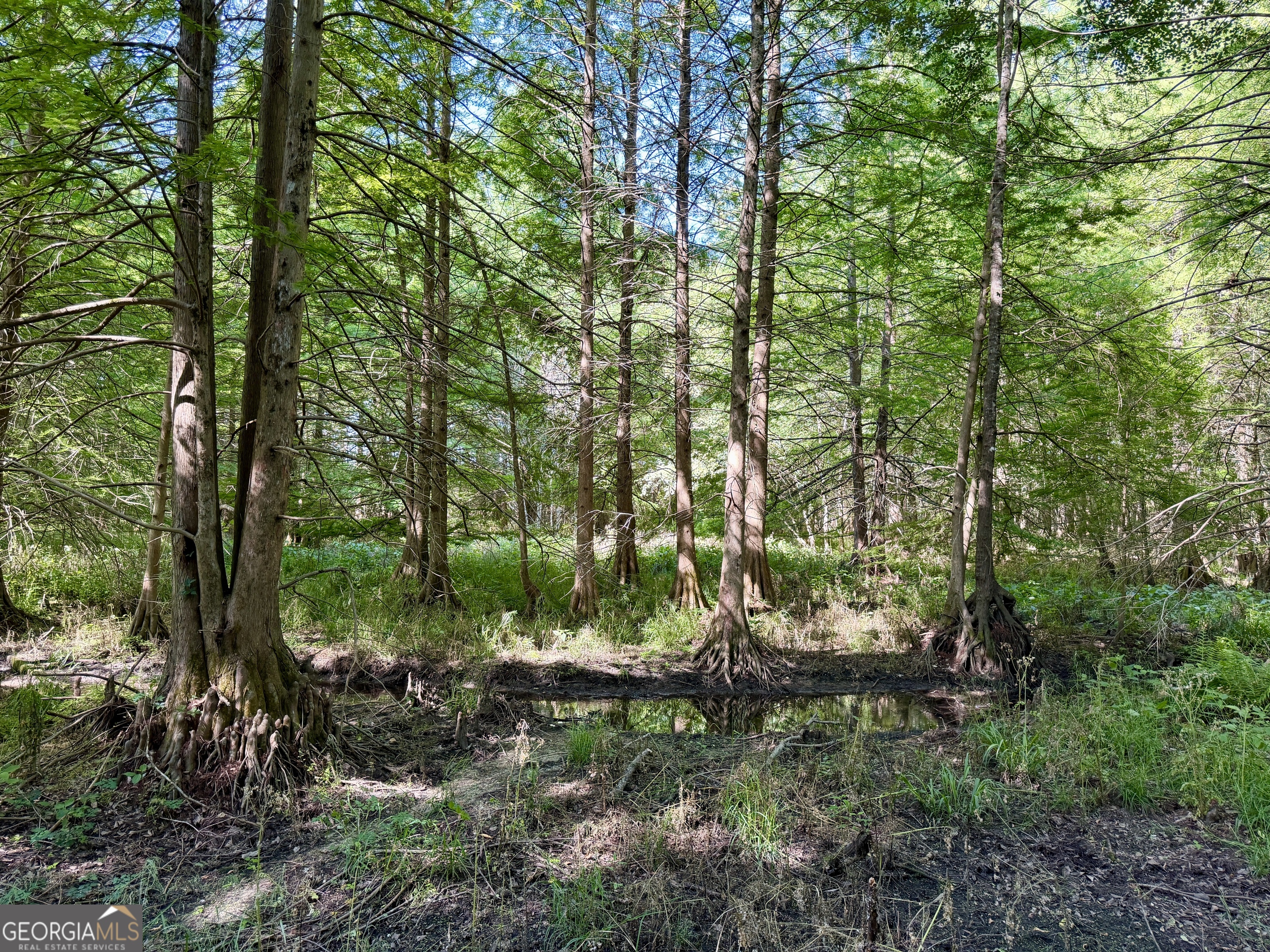 0 Folds Road Pineview GA 31071