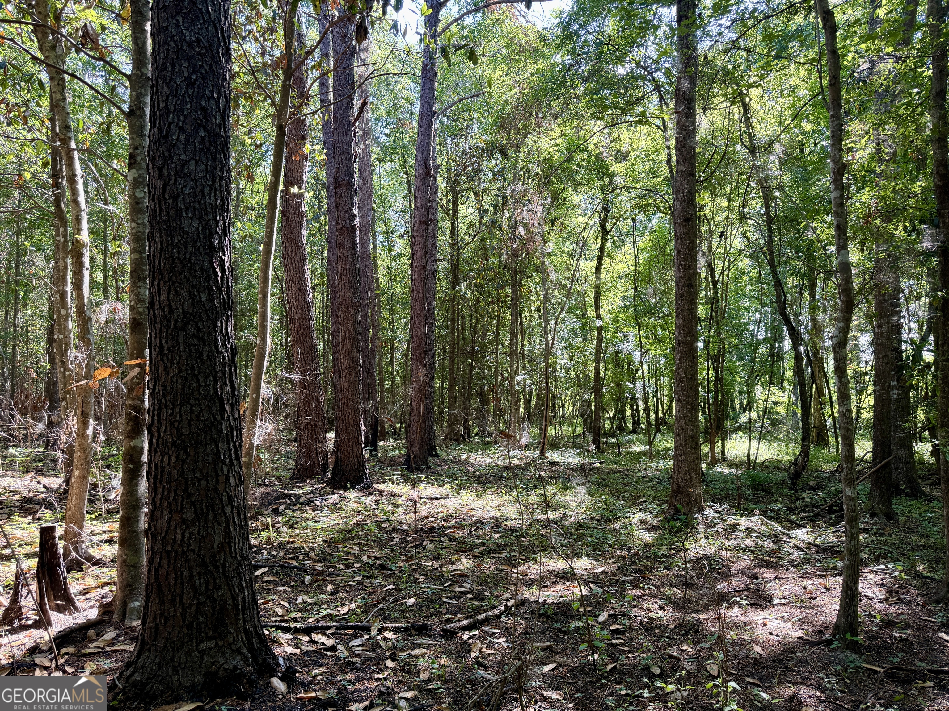 0 Folds Road Pineview GA 31071