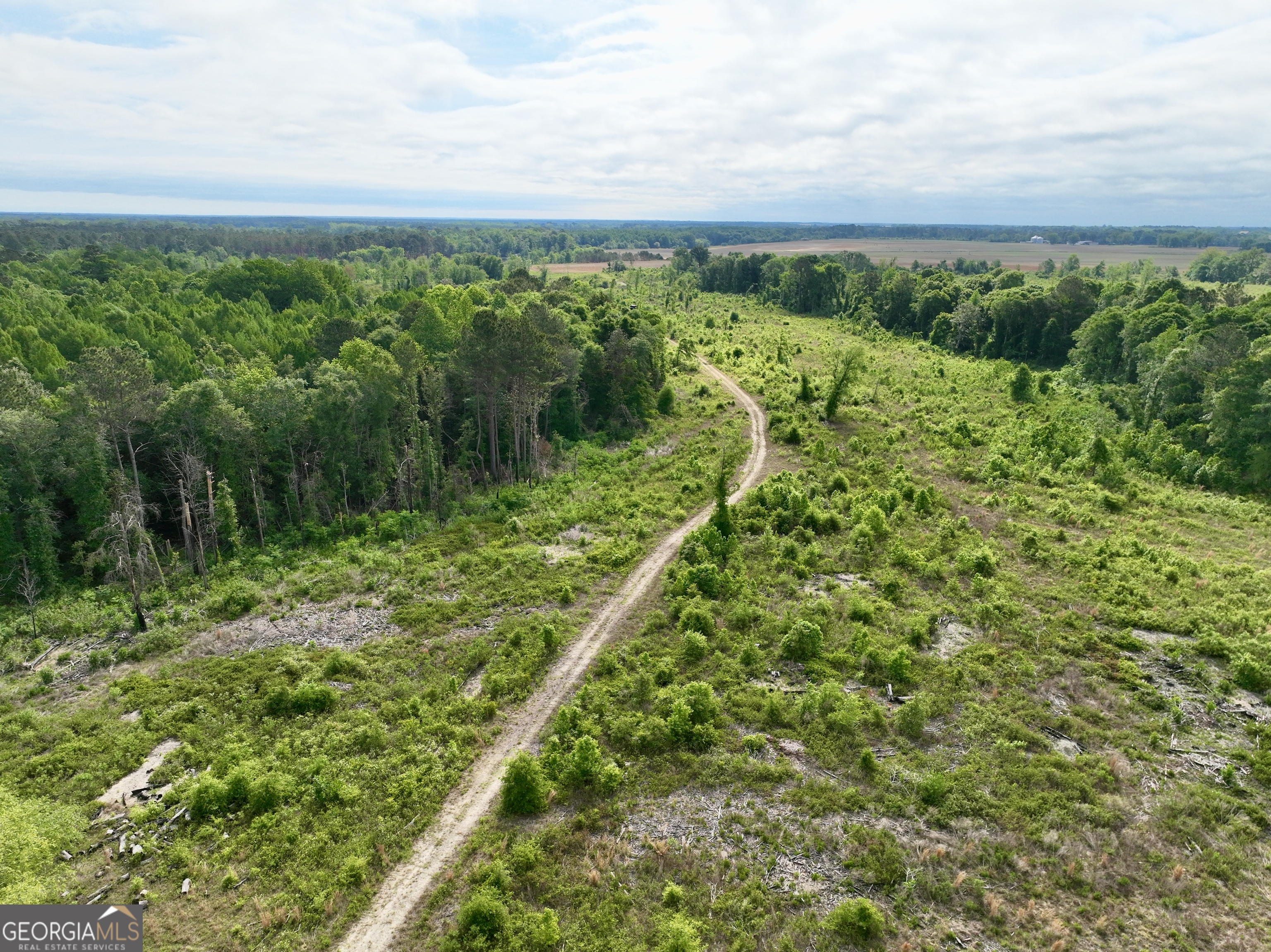 0 Folds Road Pineview GA 31071