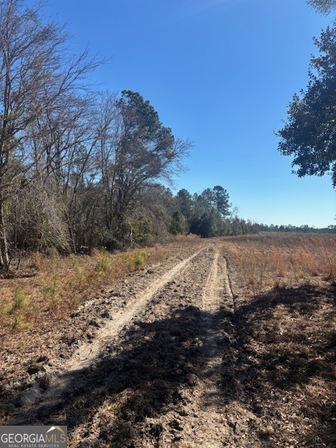0 Starfish Lane Lyons GA 30436
