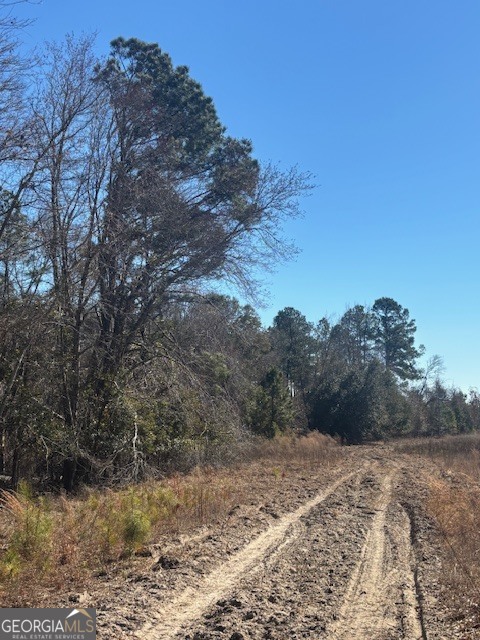 0 Starfish Lane Lyons GA 30436