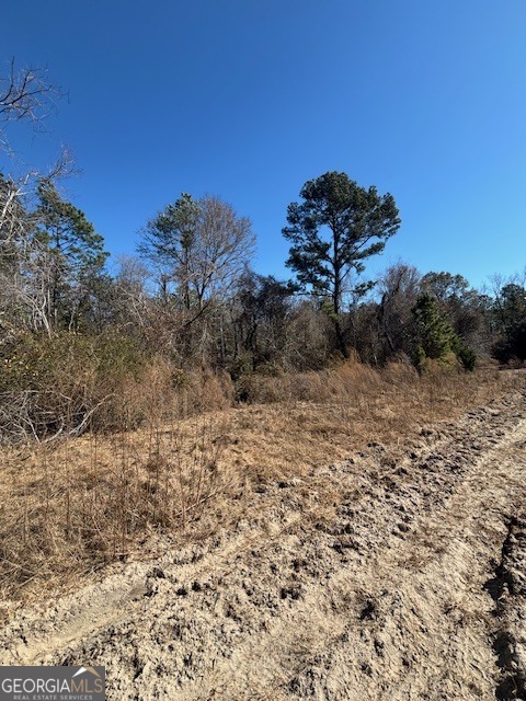 0 Starfish Lane Lyons GA 30436
