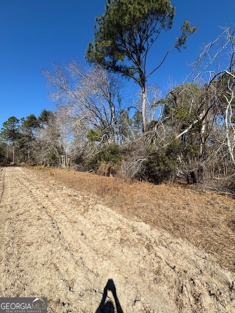 0 Starfish Lane Lyons GA 30436