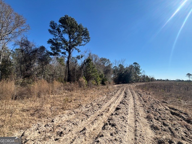 0 Starfish Lane Lyons GA 30436