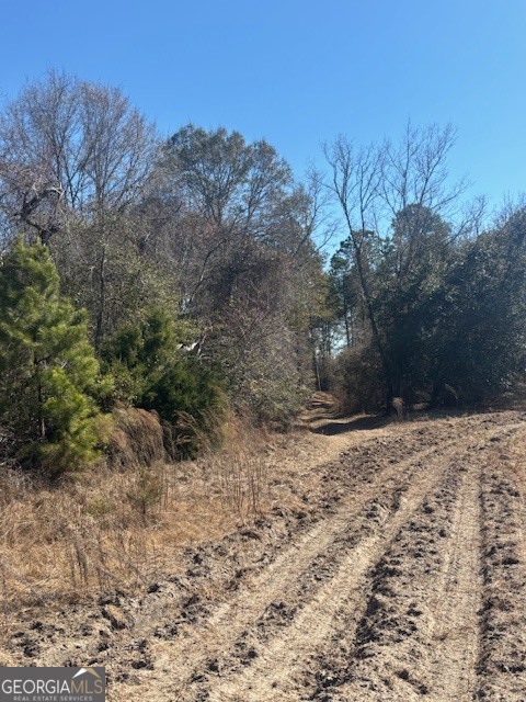 0 Starfish Lane Lyons GA 30436