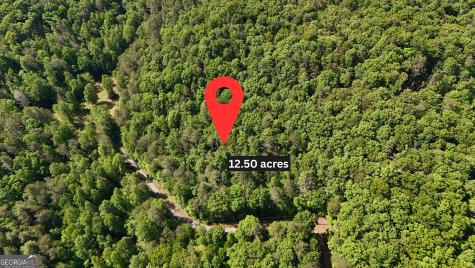 0 Gold Springs Road Cherry Log GA 30522