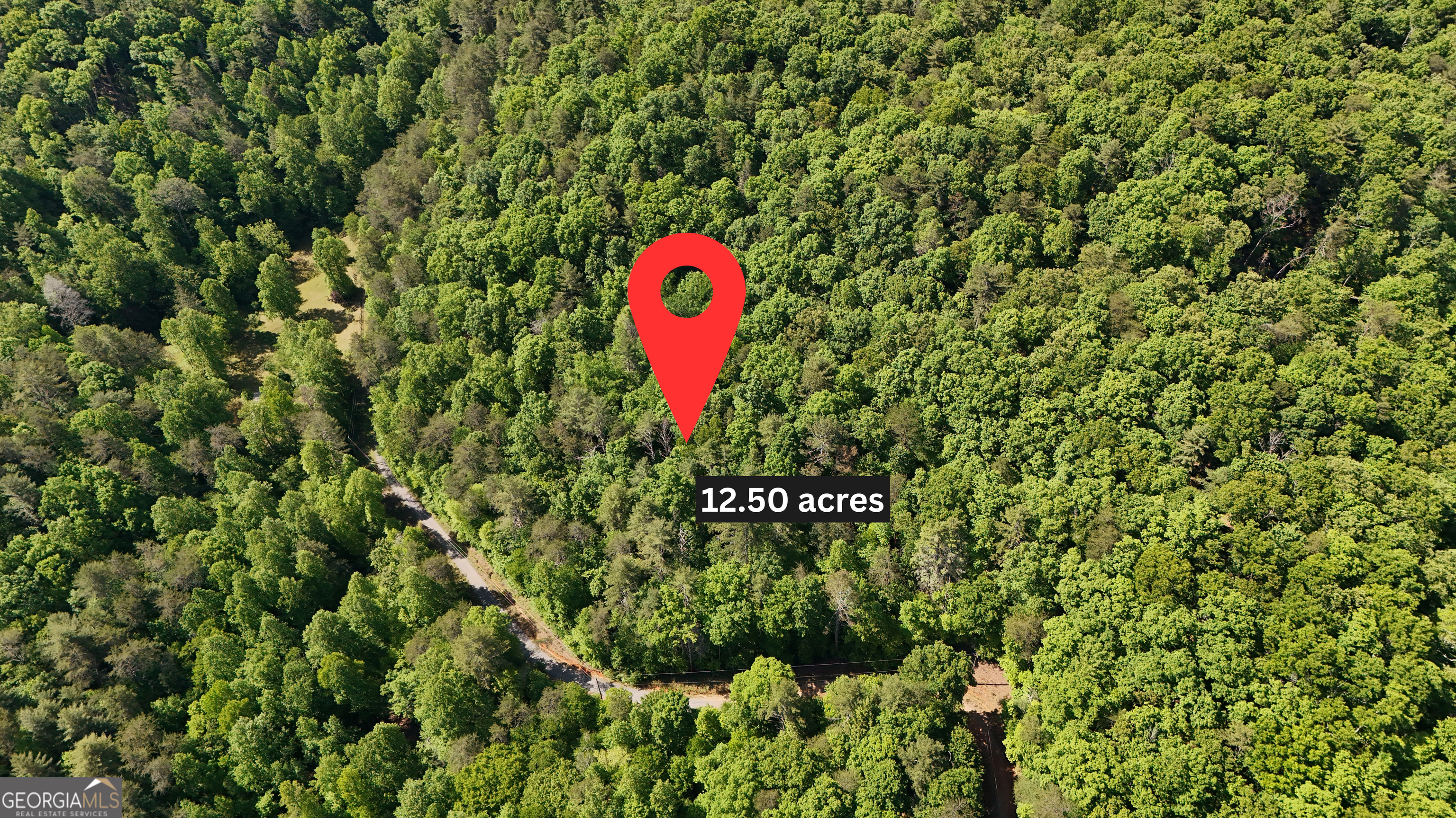 0 Gold Springs Road Cherry Log GA 30522