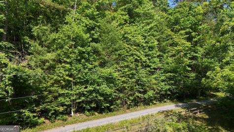 0 Gold Springs Road Cherry Log GA 30522
