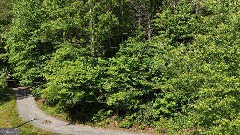 0 Gold Springs Road Cherry Log GA 30522