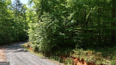 0 Gold Springs Road Cherry Log GA 30522