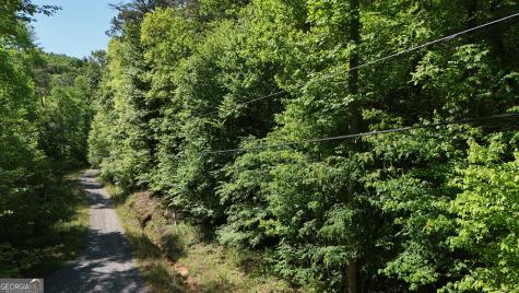 0 Gold Springs Road Cherry Log GA 30522