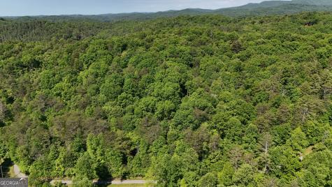 0 Gold Springs Road Cherry Log GA 30522