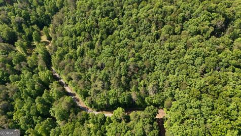 0 Gold Springs Road Cherry Log GA 30522