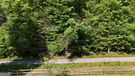 0 Gold Springs Road Cherry Log GA 30522