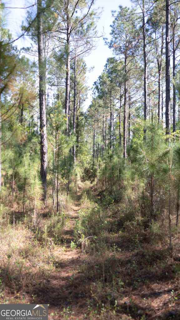 0 Reedy Branch Road Statesboro GA 30458