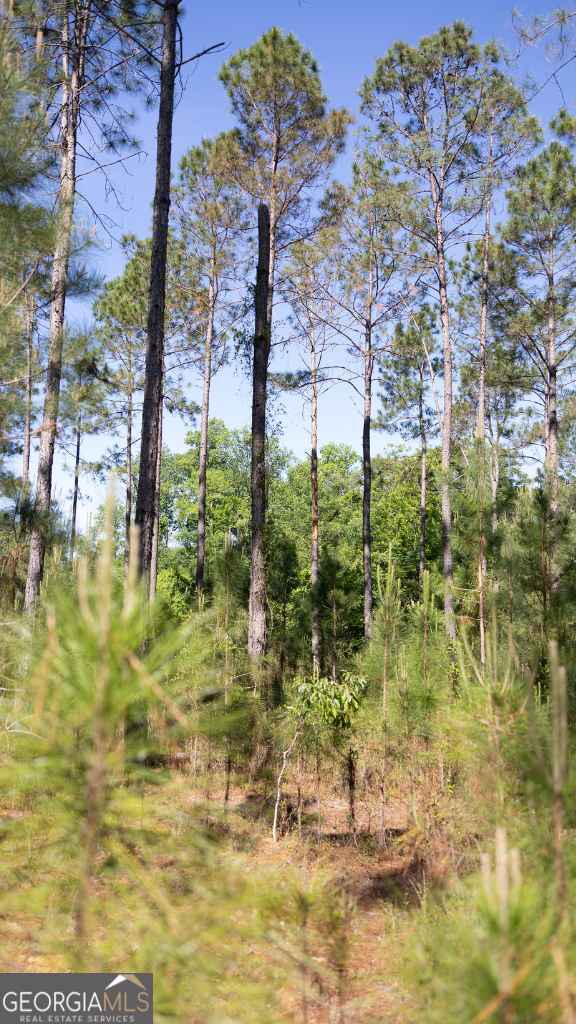 0 Reedy Branch Road Statesboro GA 30458