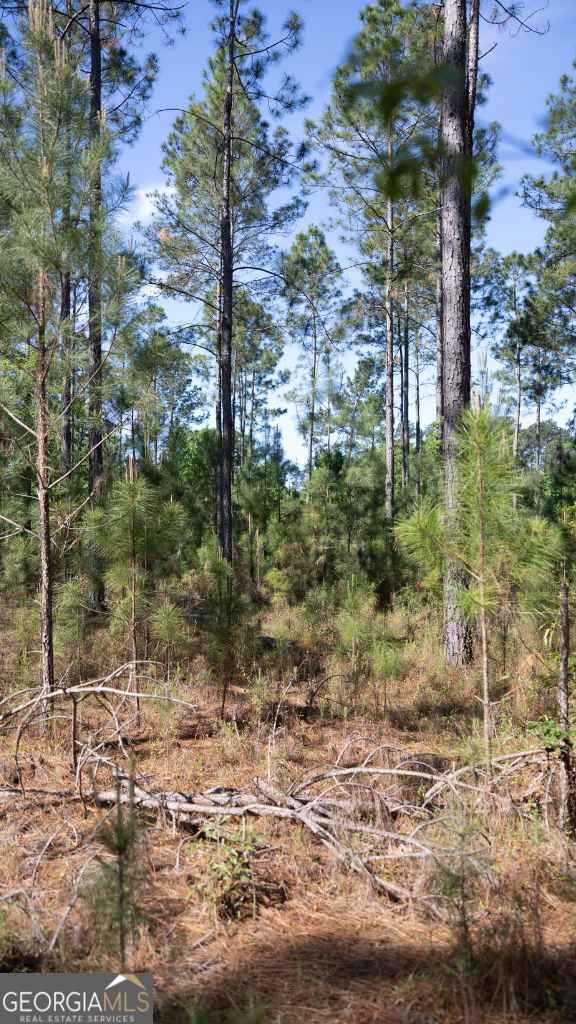 0 Reedy Branch Road Statesboro GA 30458