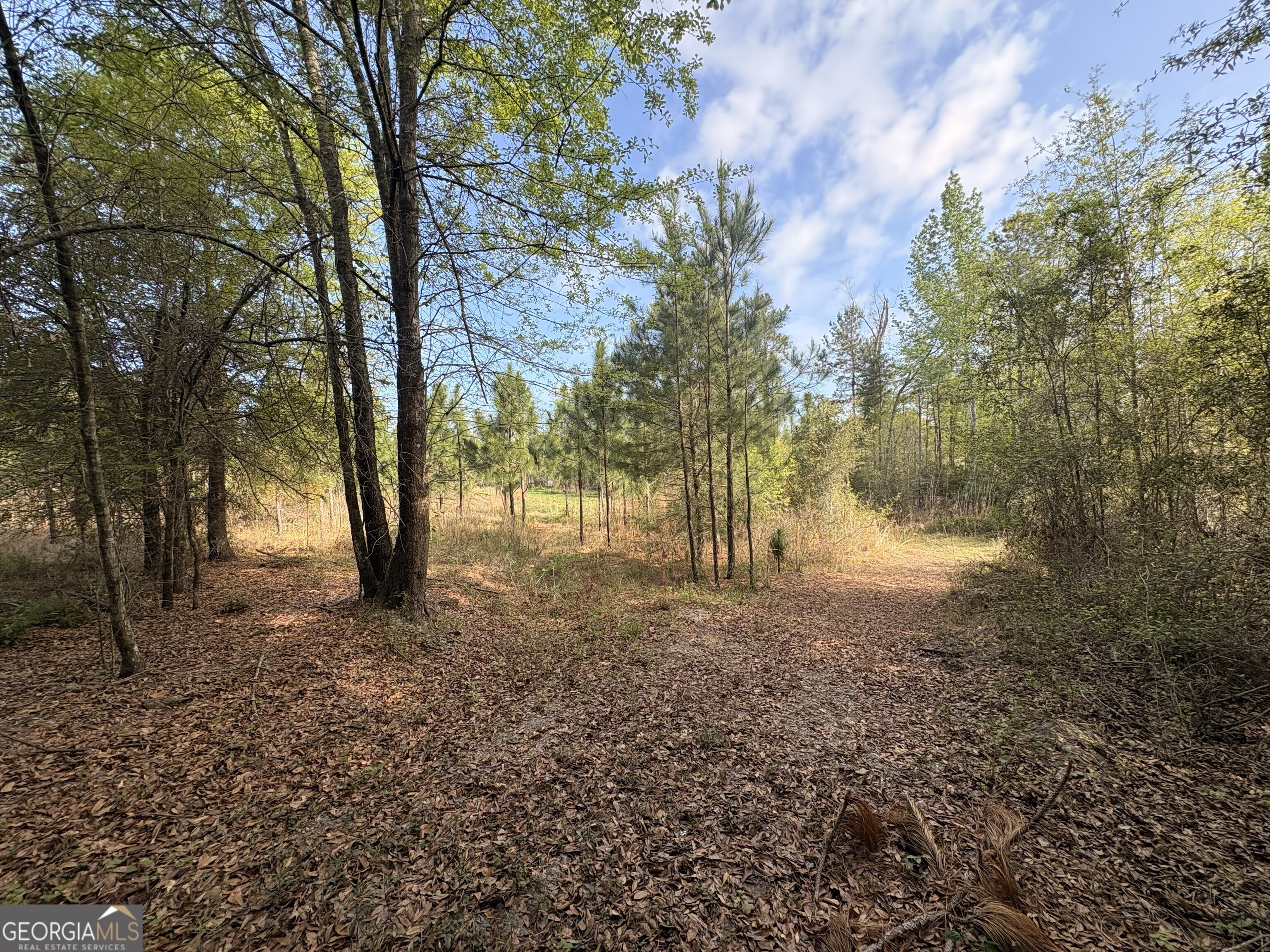 001 Old Poor Robin Tract 1 Sylvania GA 30467