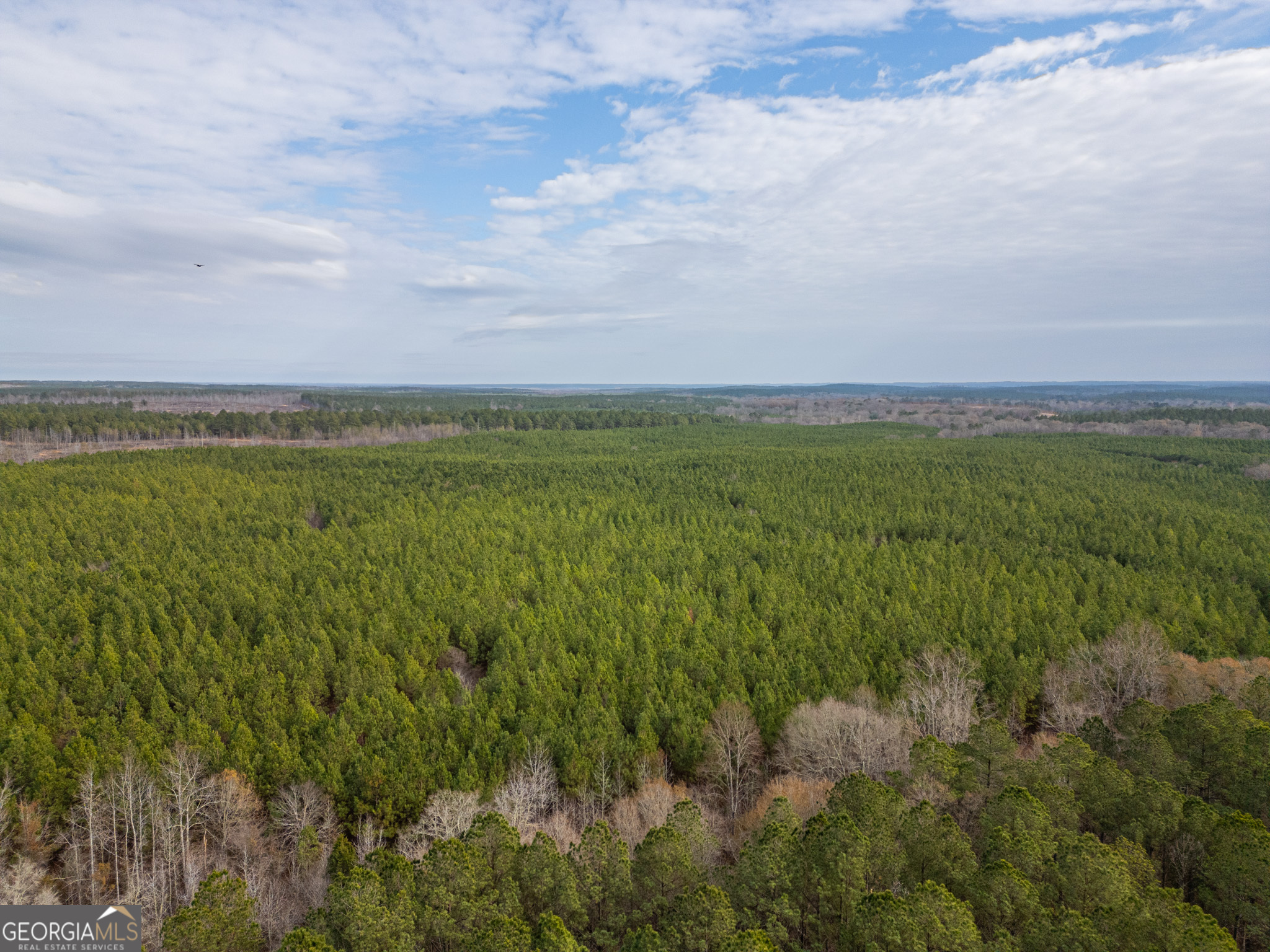 2 Smith Rocky Branch Road Carlton GA 30627